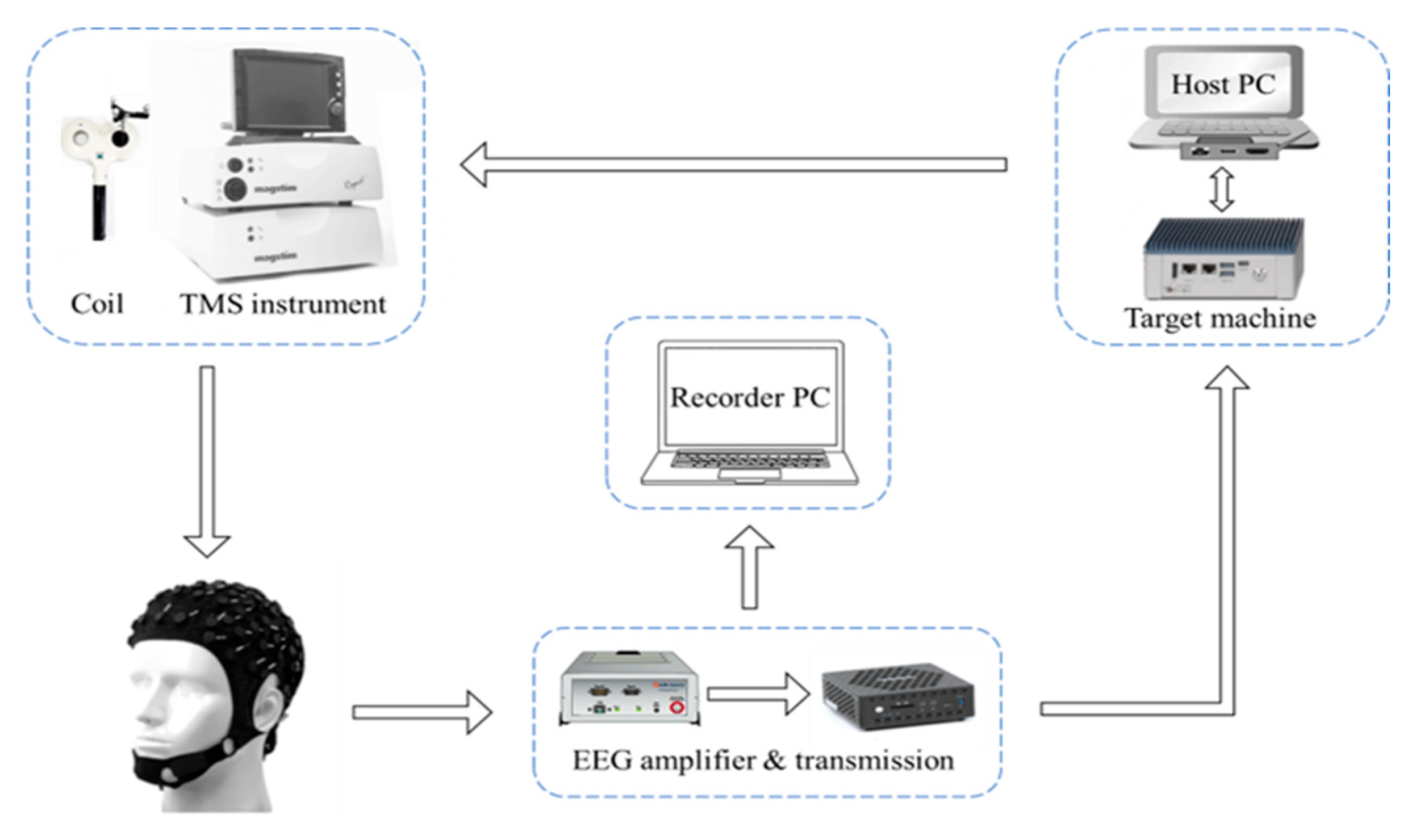 Sensors 25 07187 g001