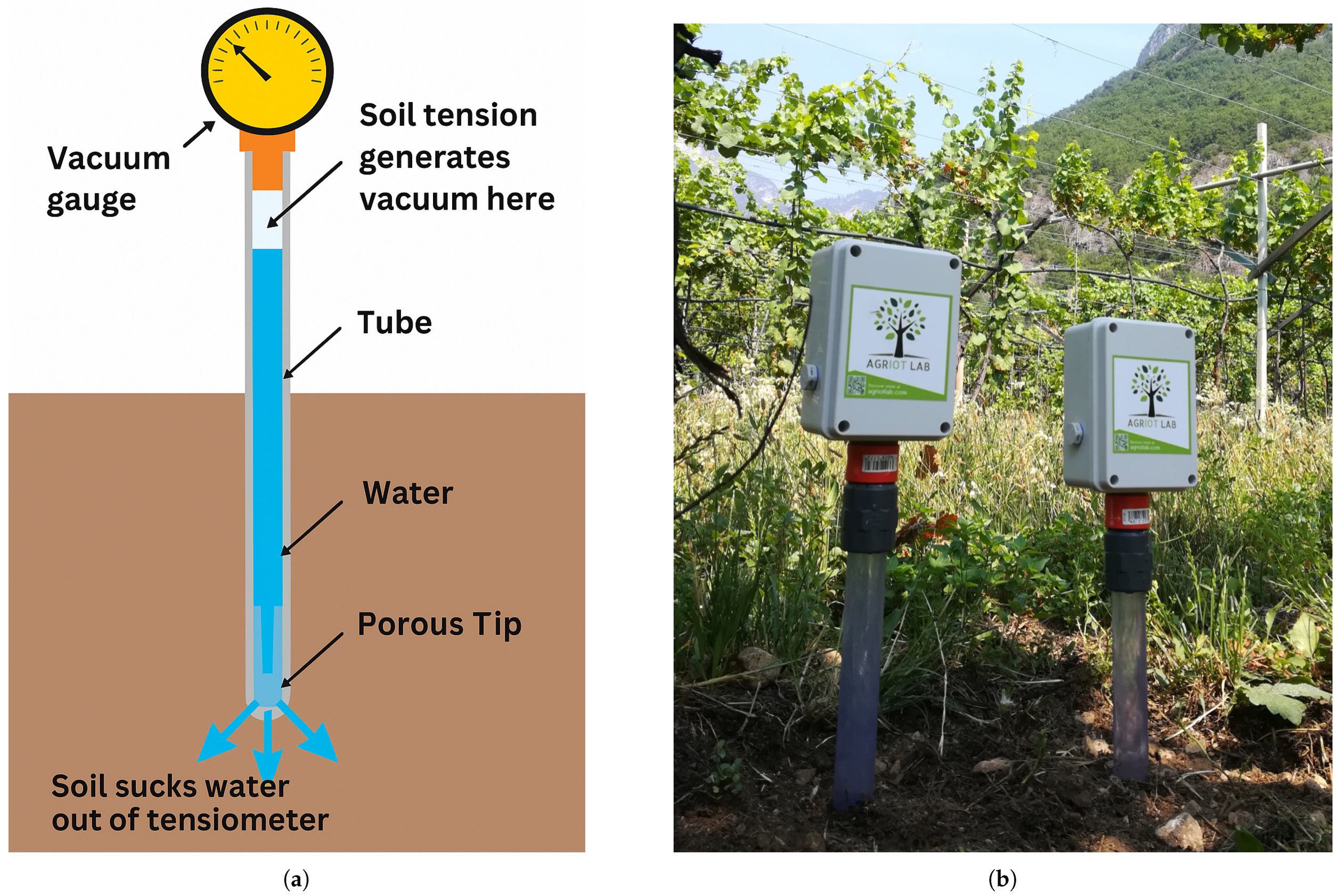 Sensors 25 07188 g004