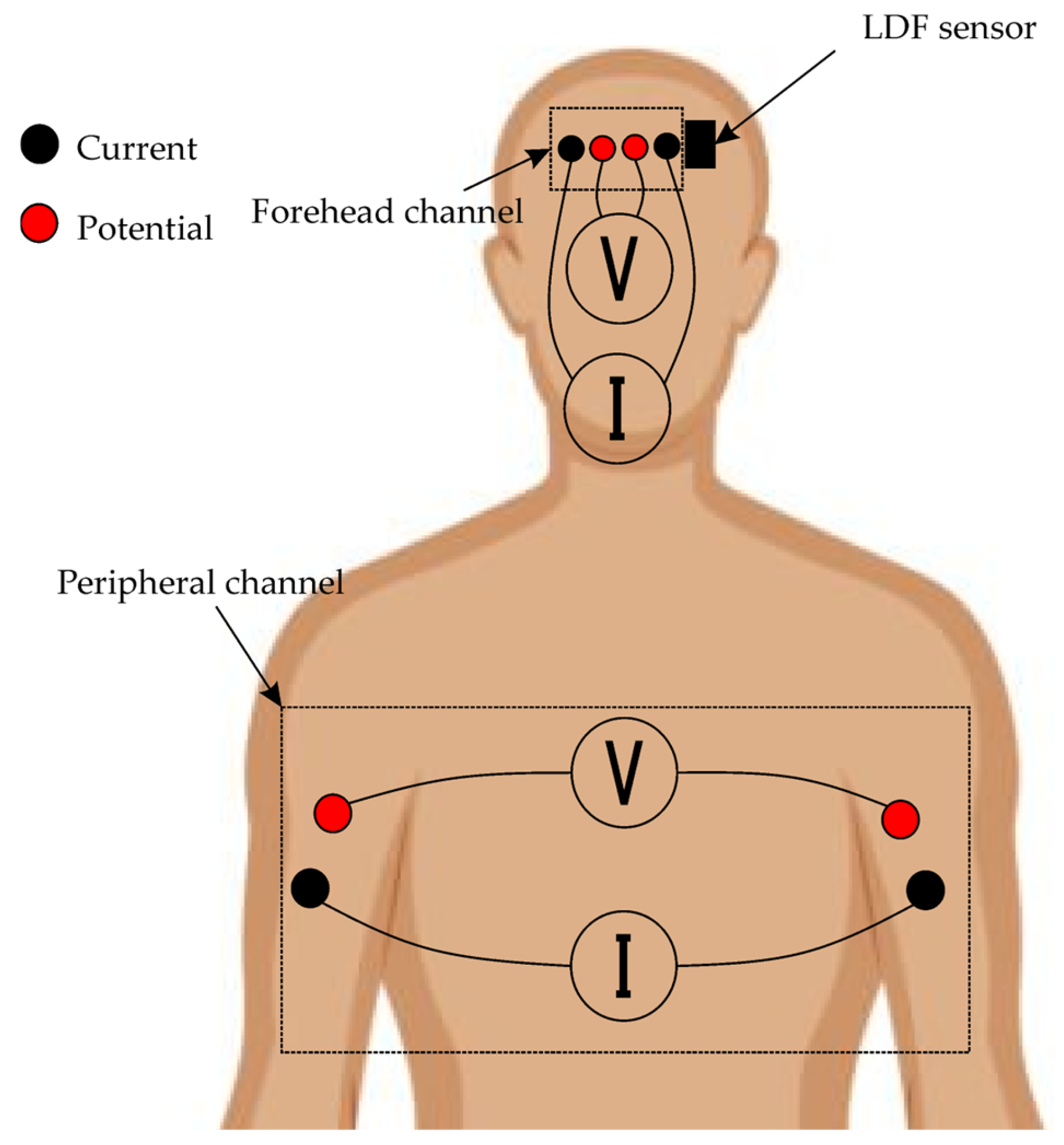 Sensors 25 07190 g002 Sensors 25 07190 g002