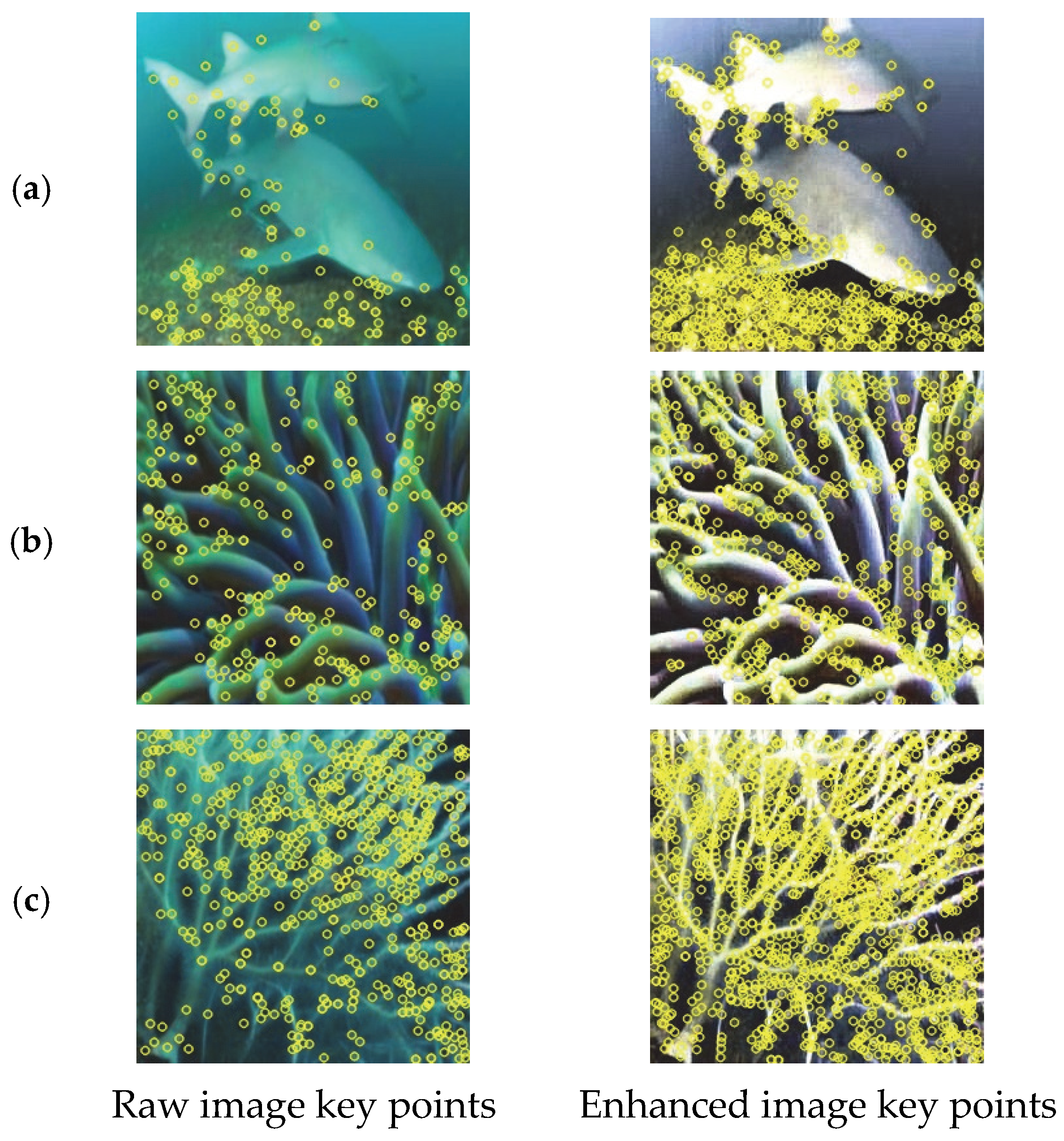 Sensors 25 07192 g005