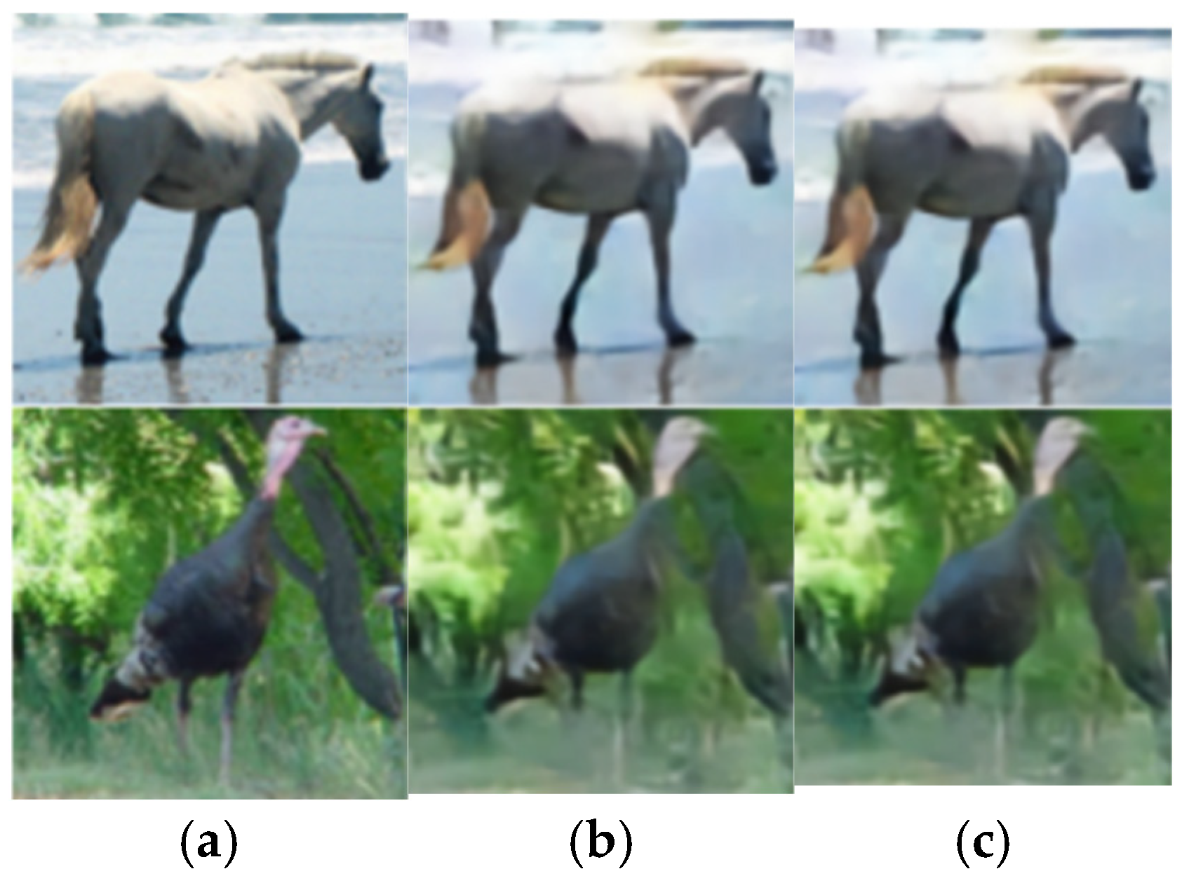 Sensors 25 07201 g015 Sensors 25 07201 g015