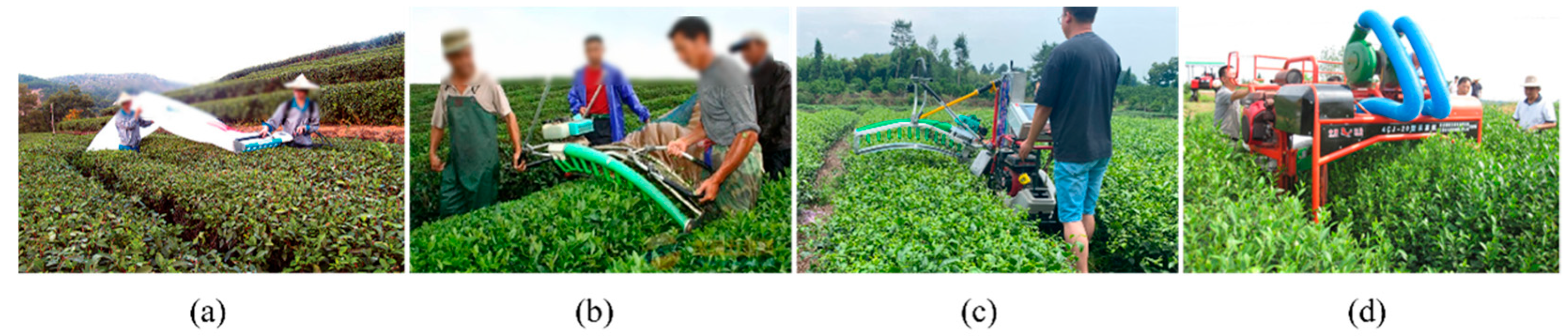 Sensors 25 07204 g001