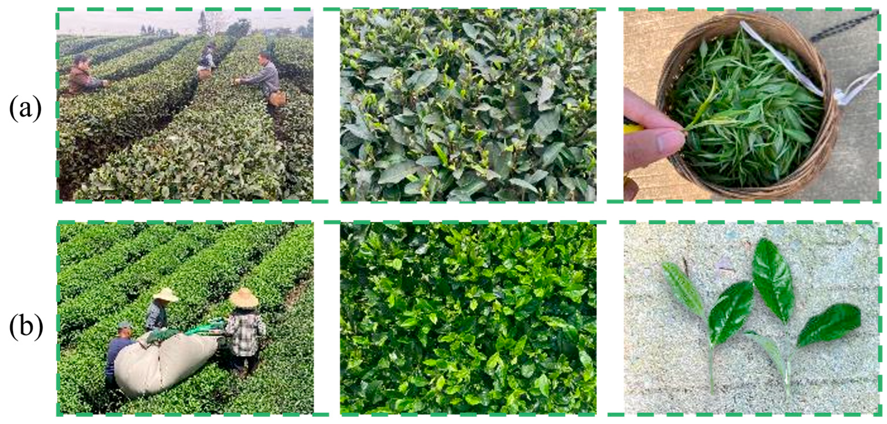 Sensors 25 07204 g002