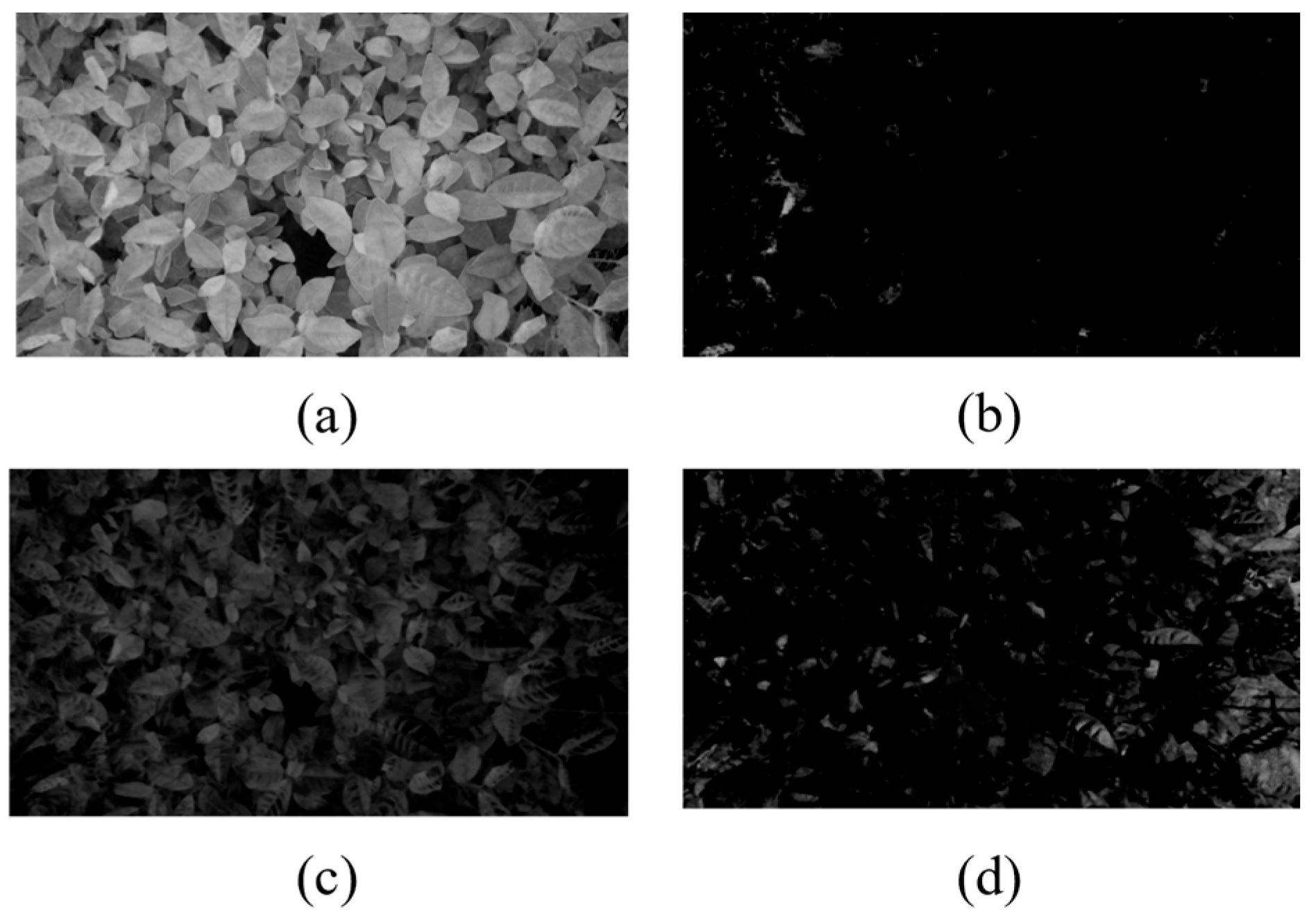 Sensors 25 07204 g006