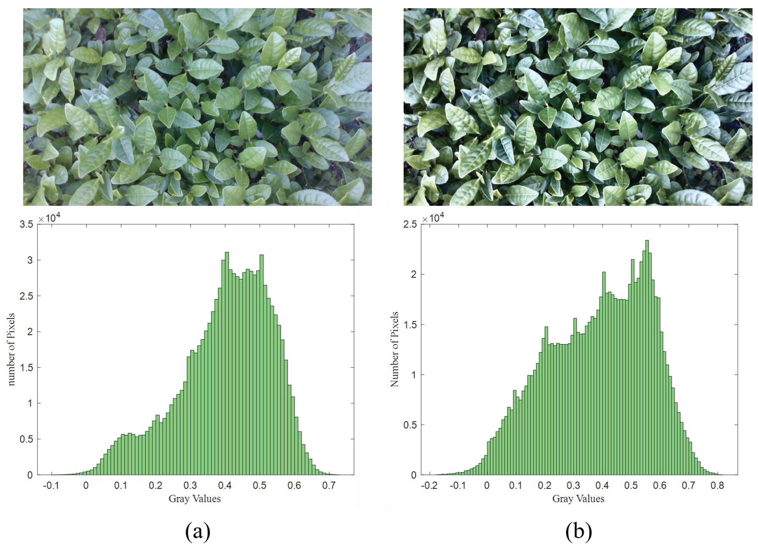 Sensors 25 07204 g008