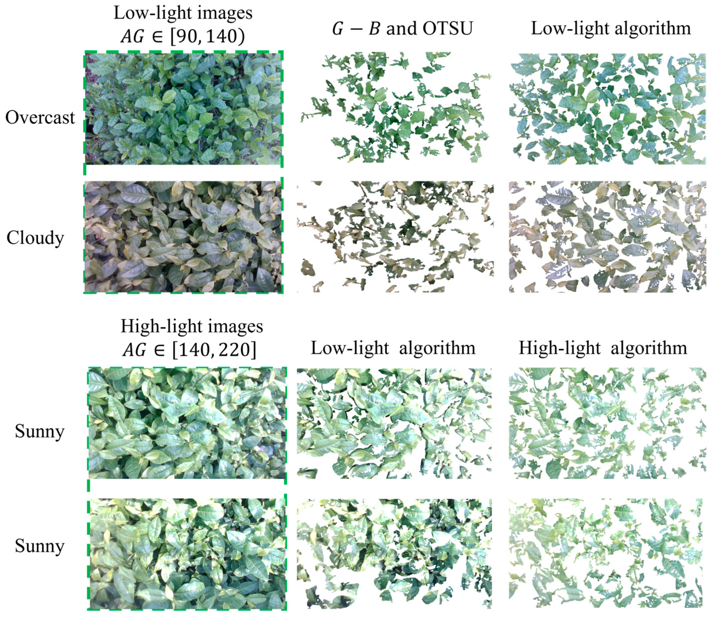 Sensors 25 07204 g014