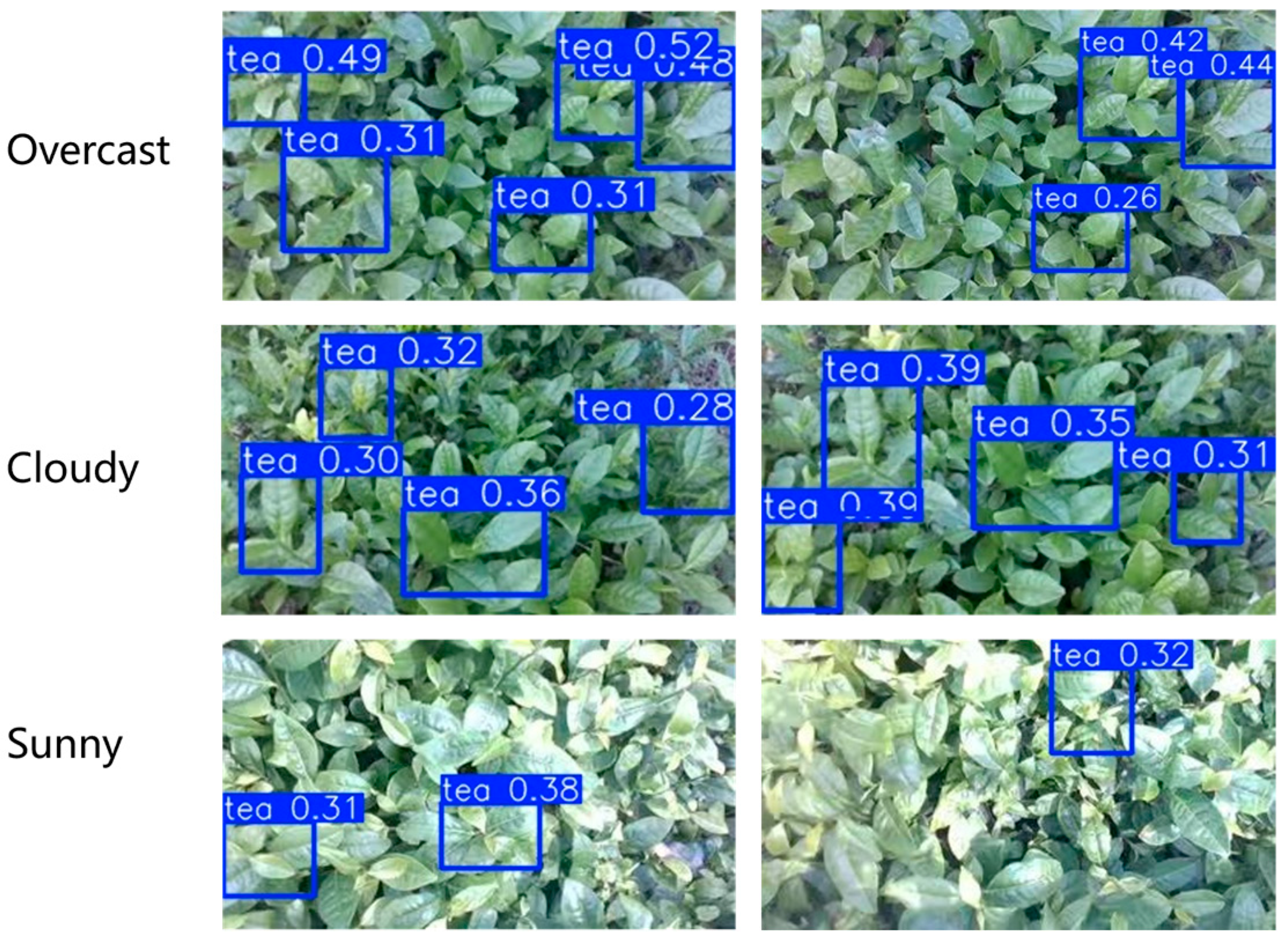 Sensors 25 07204 g015