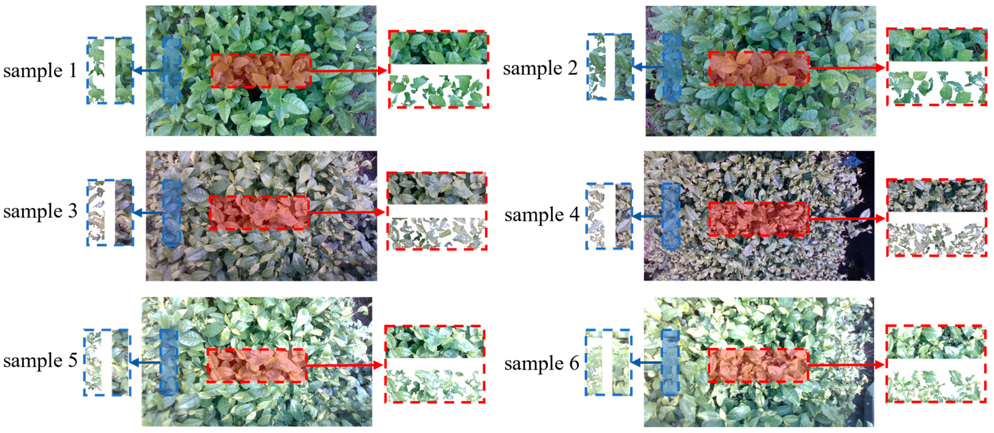 Sensors 25 07204 g017