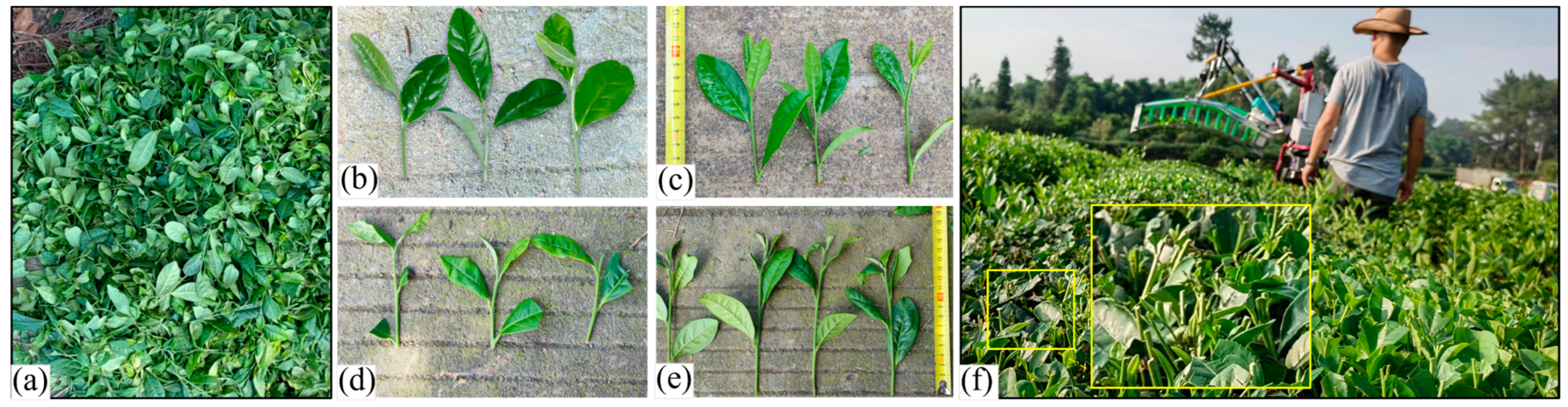 Sensors 25 07204 g019