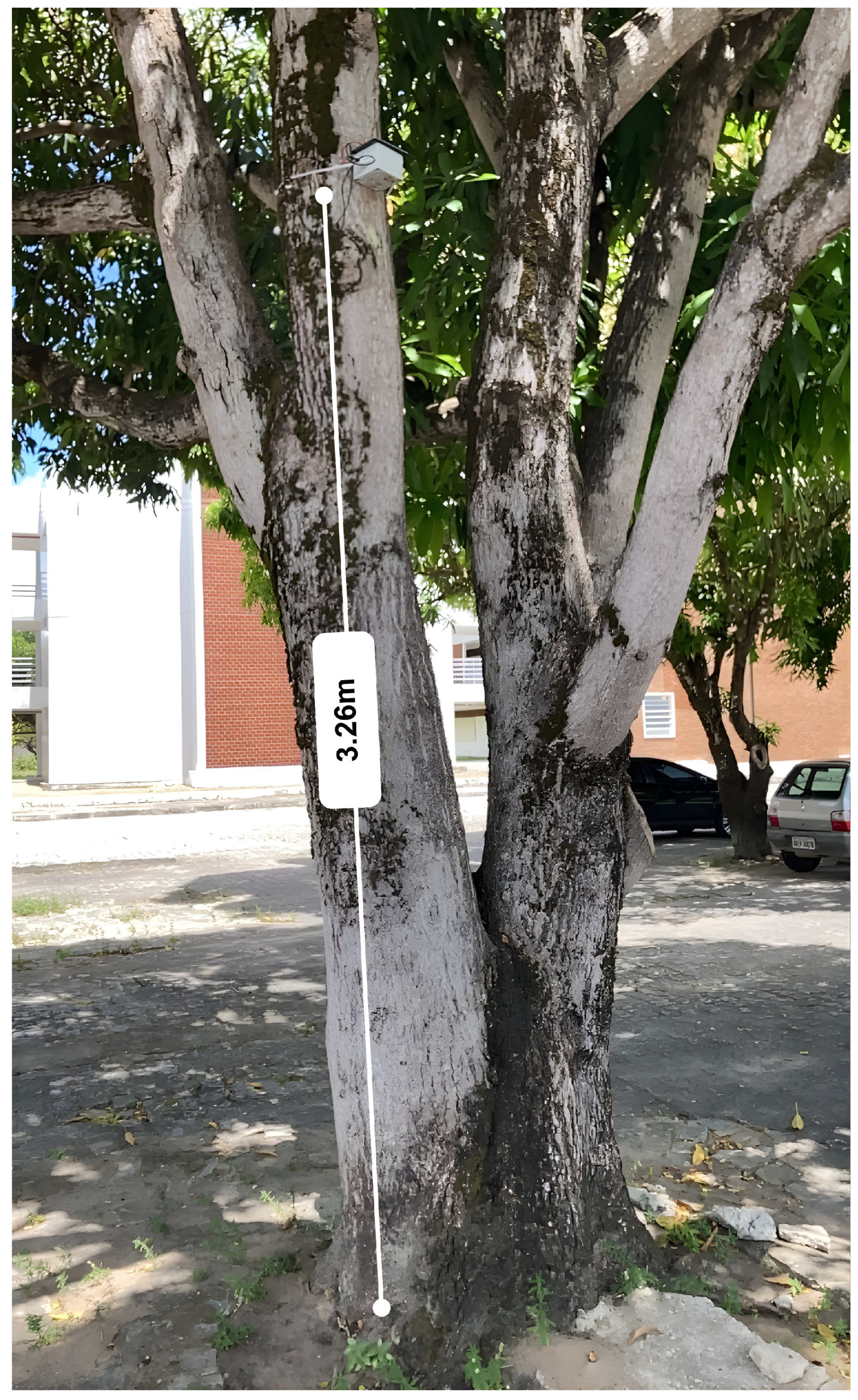 Sensors 25 07205 g001