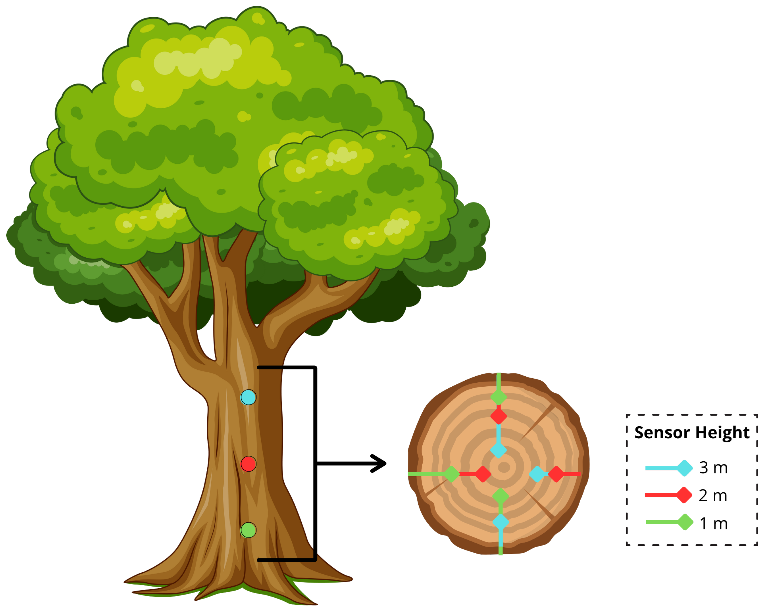 Sensors 25 07205 g002