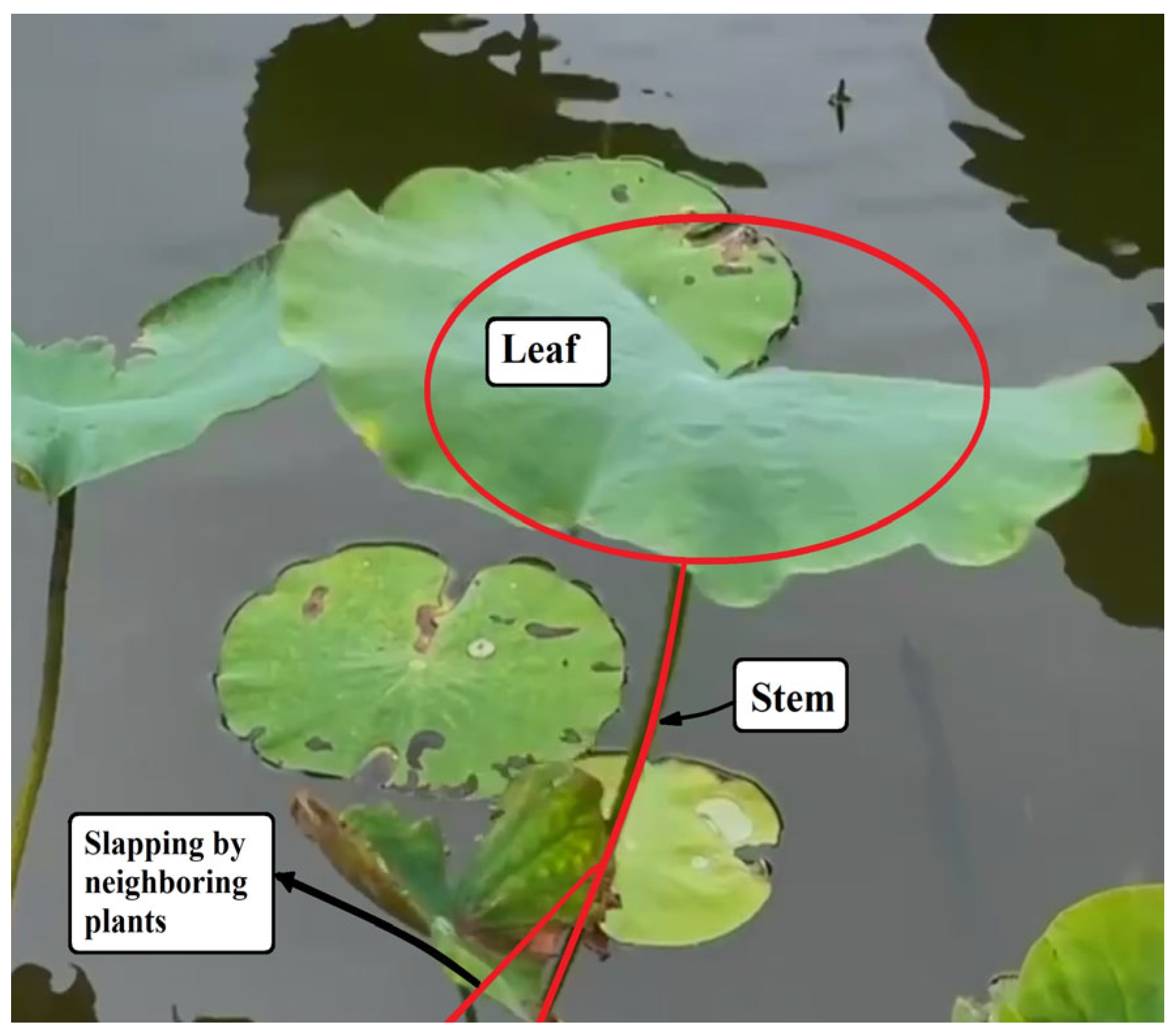 Sensors 25 07222 g001