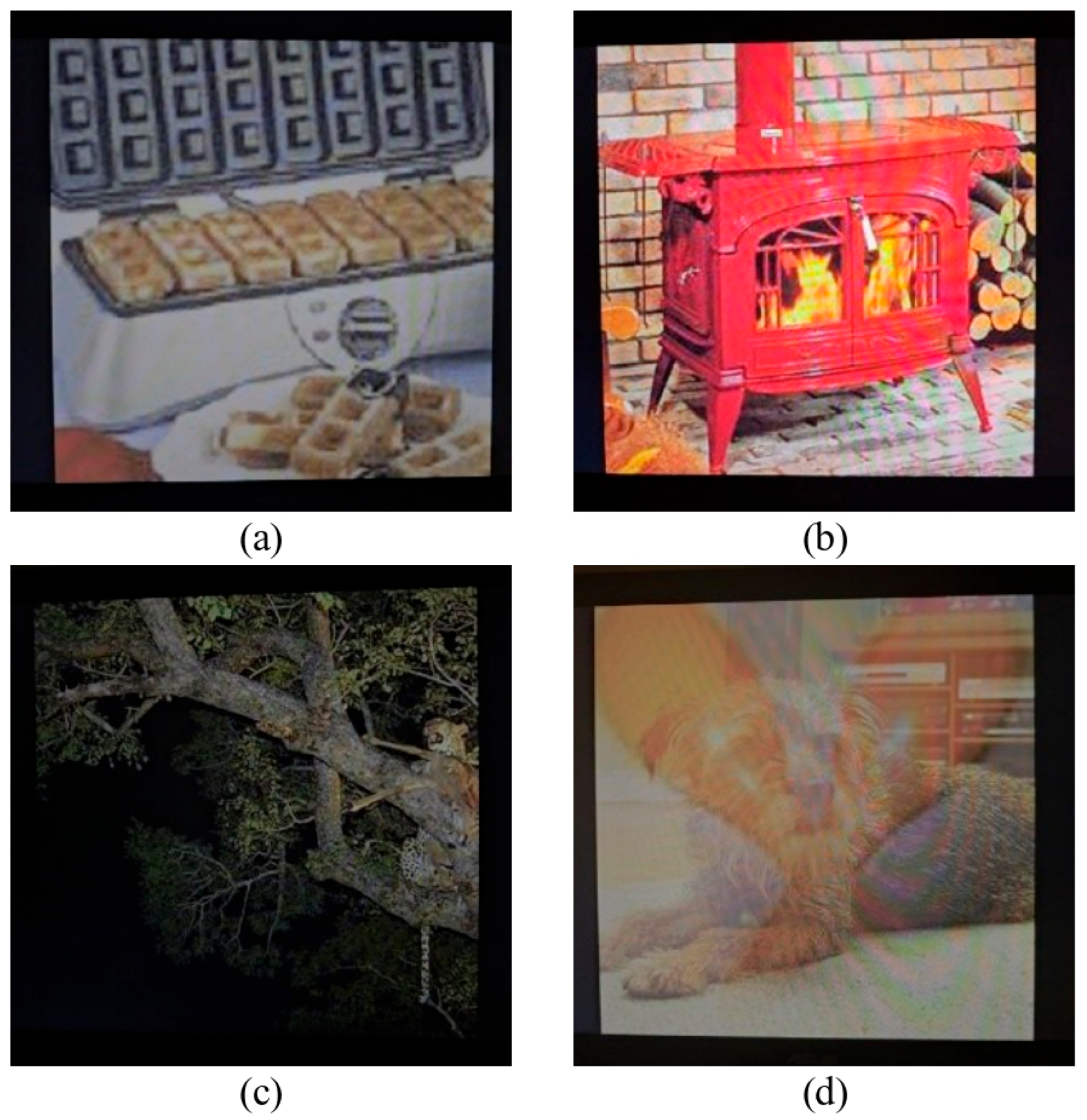 Sensors 25 07226 g007