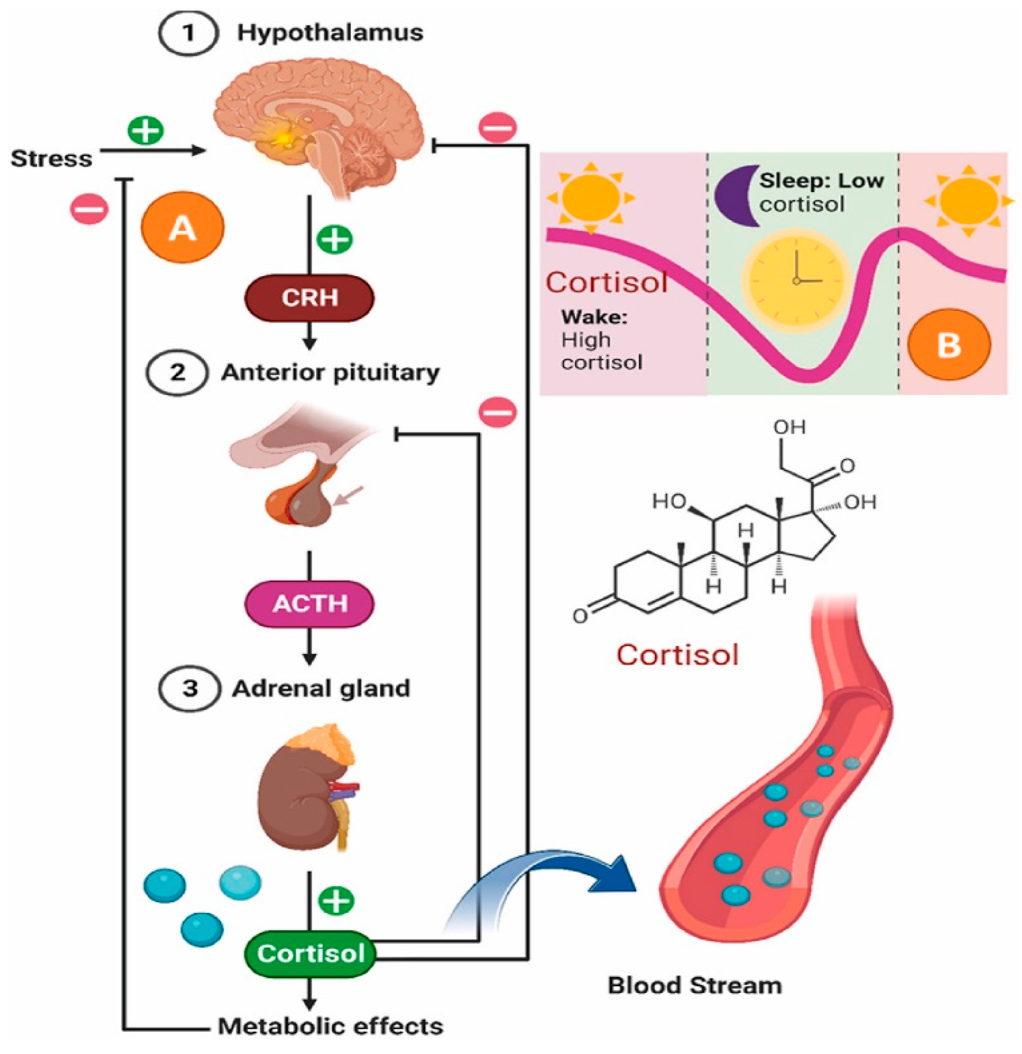 Sensors 25 07255 g001