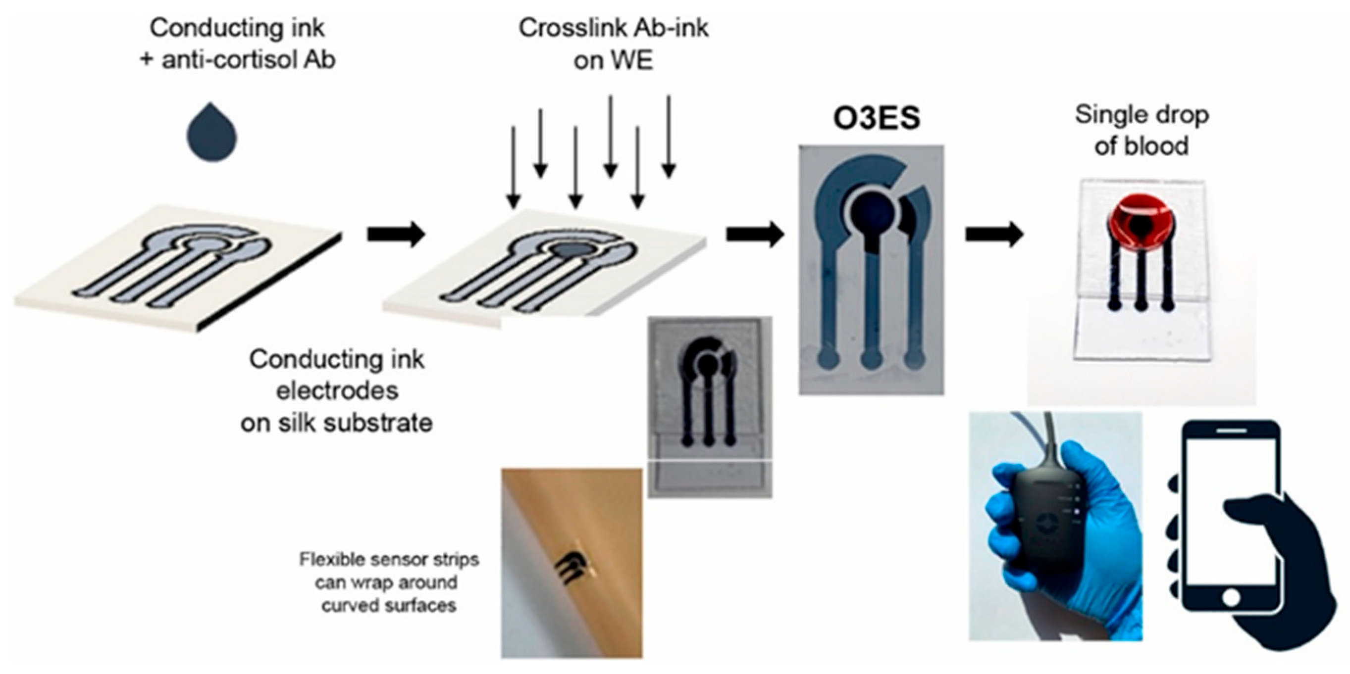 Sensors 25 07255 g002