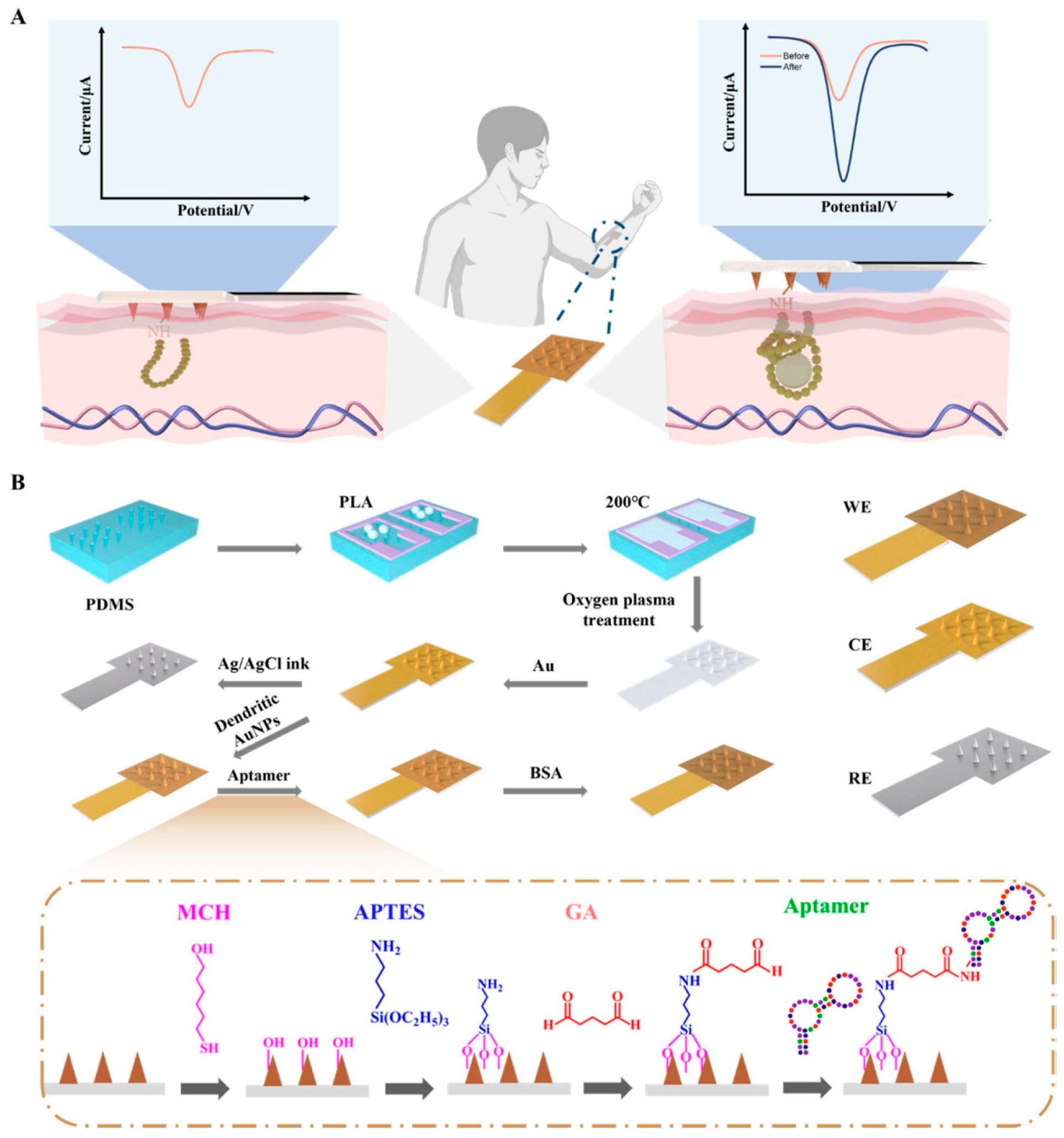 Sensors 25 07255 g003