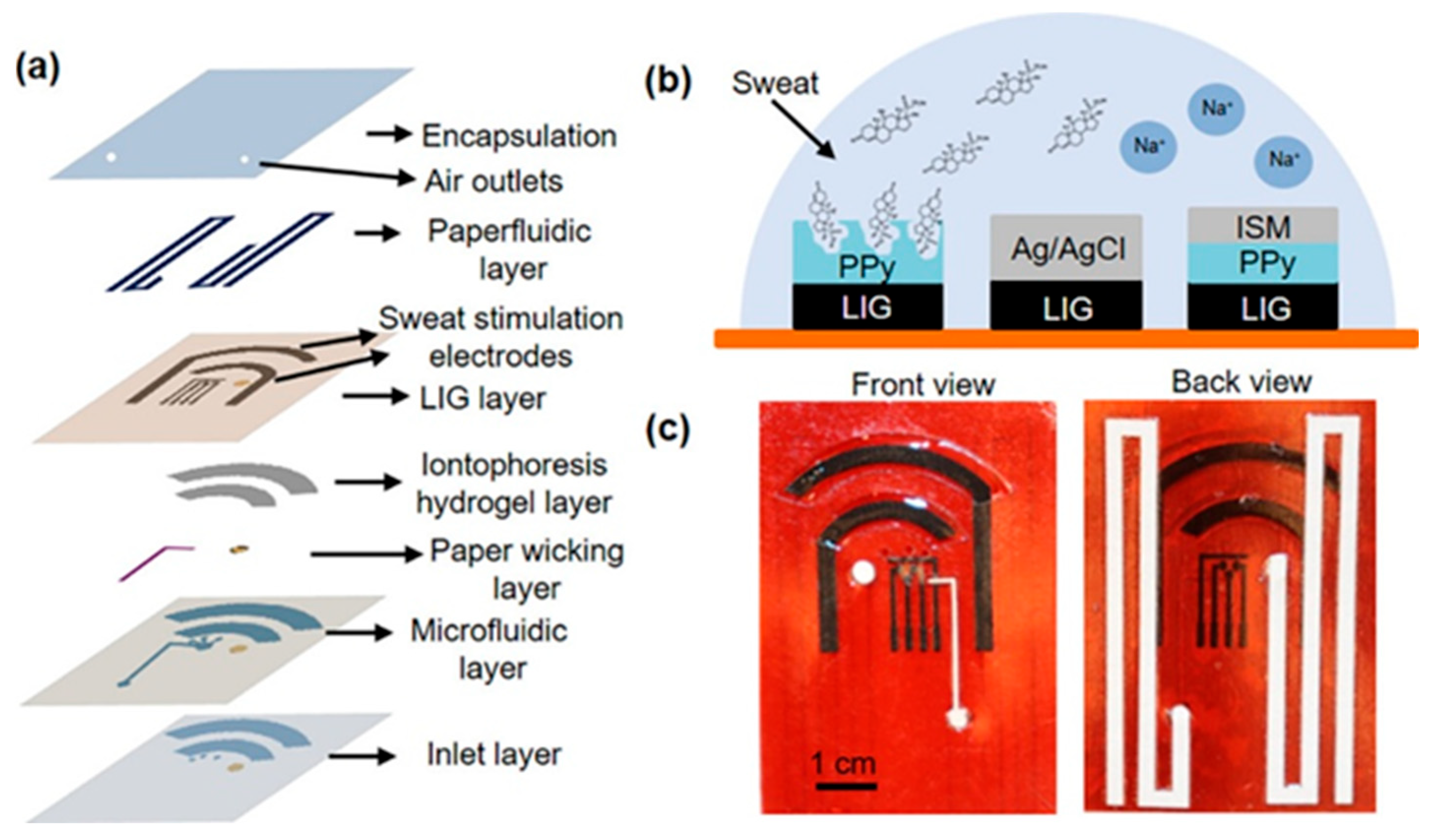 Sensors 25 07255 g005
