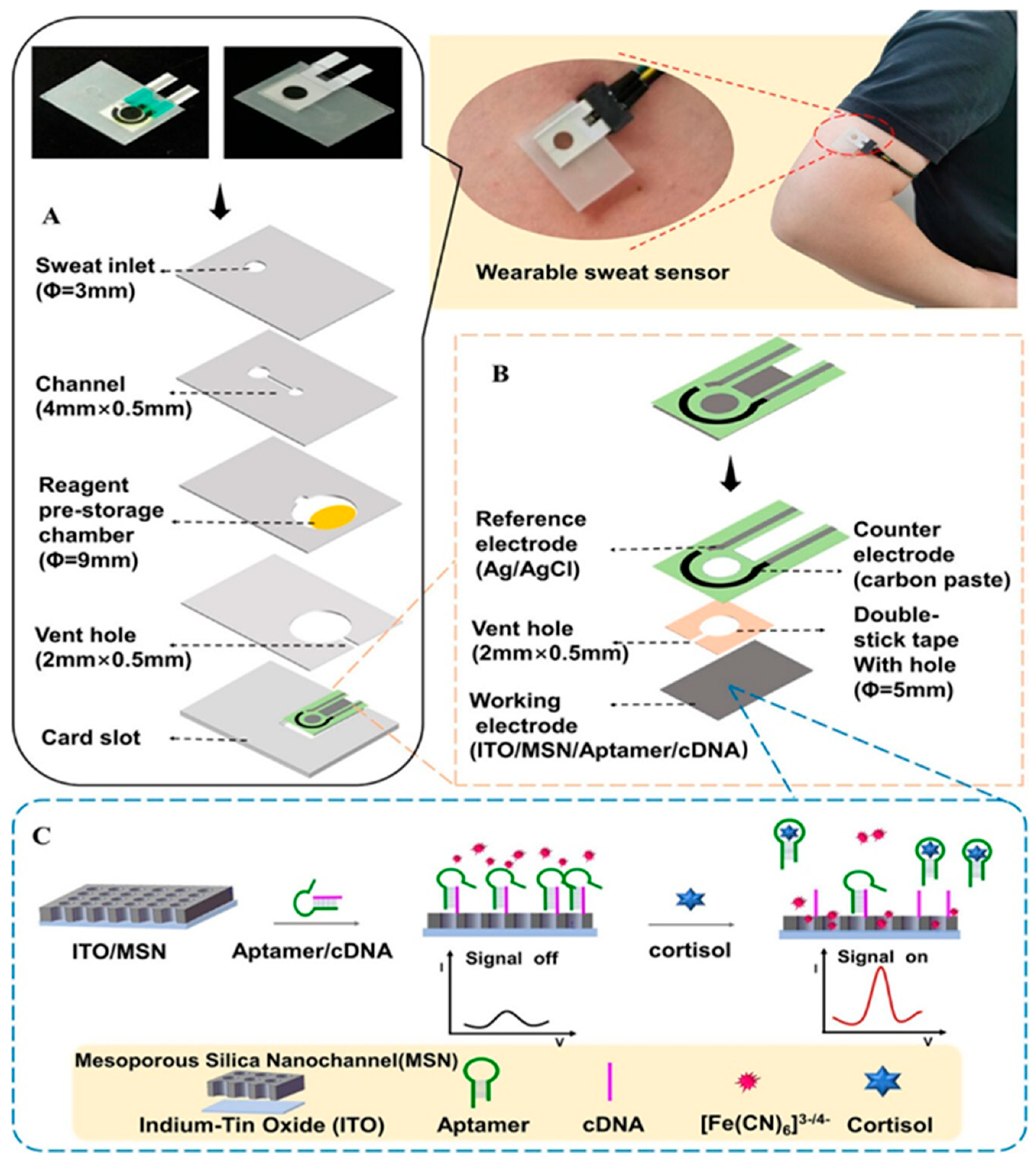 Sensors 25 07255 g006