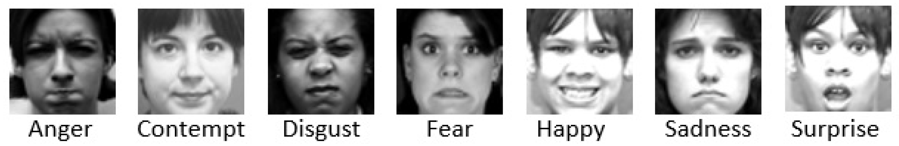 Sensors 25 07264 g002