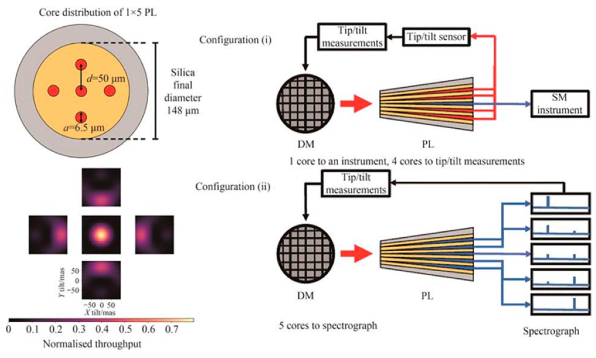 Sensors 25 07300 g004 Sensors 25 07300 g004