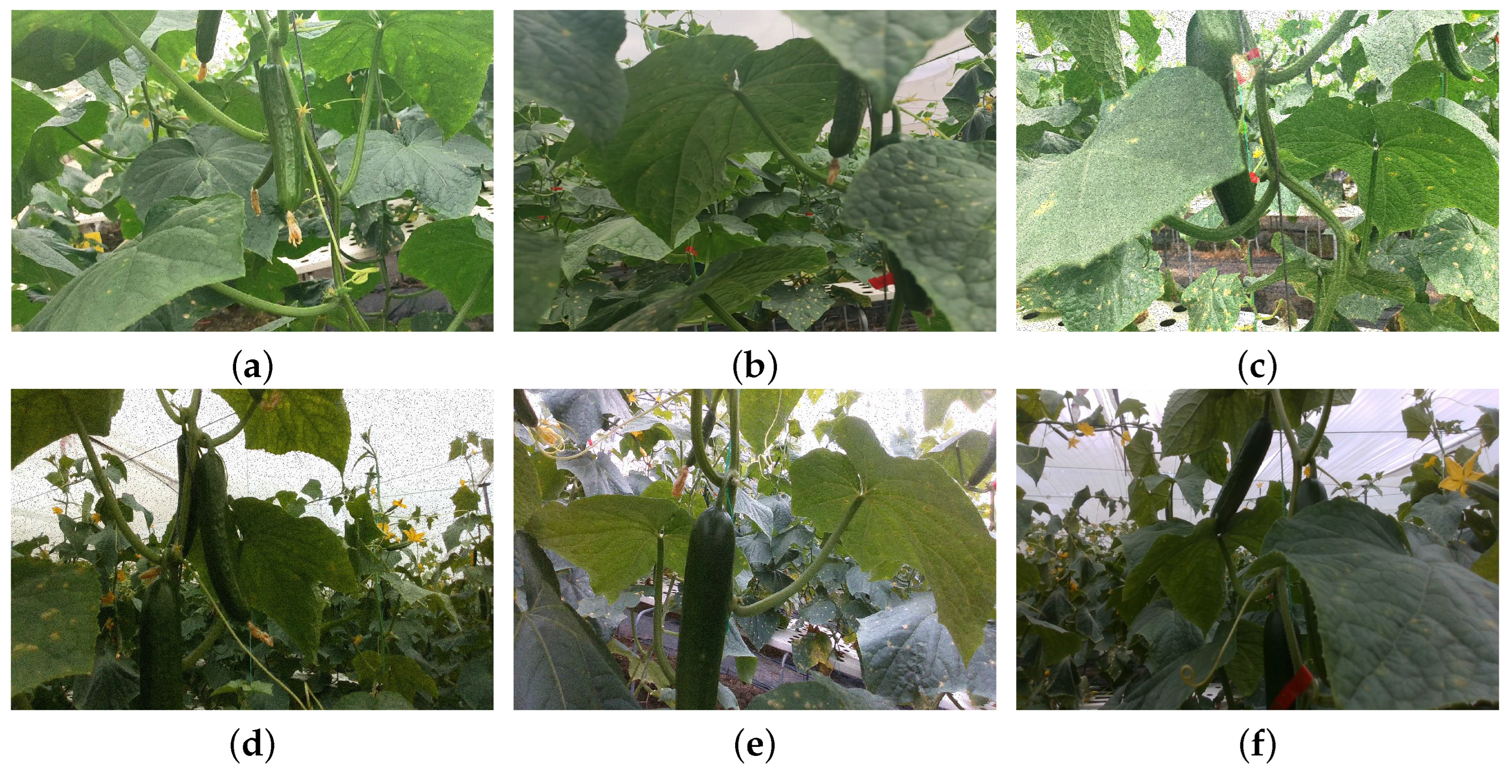 Sensors 25 07305 g001