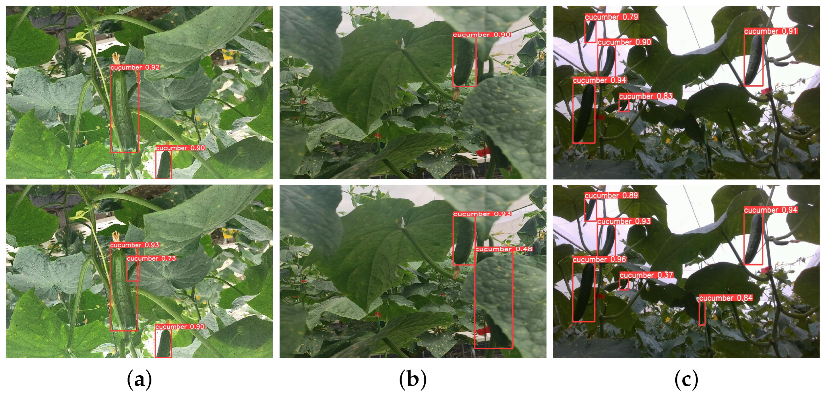 Sensors 25 07305 g007