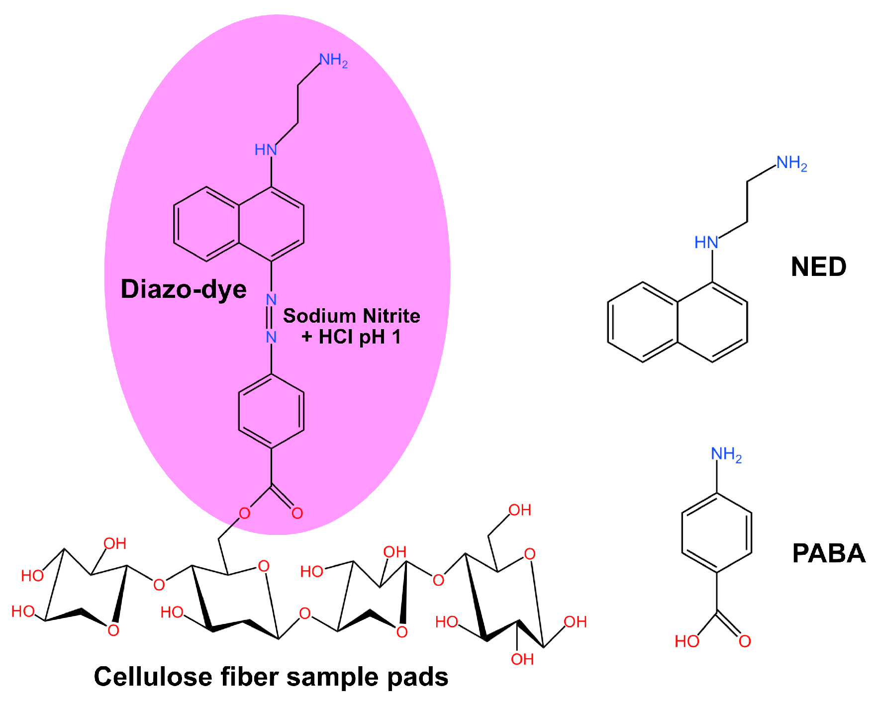 Sensors 25 07323 g002