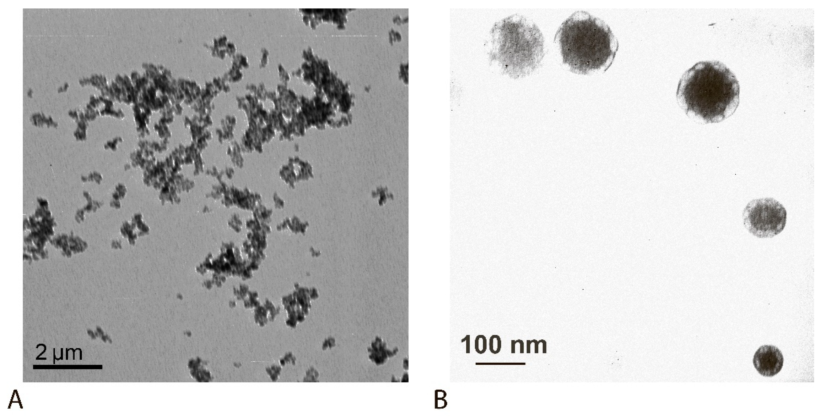 Sensors 25 07328 g002