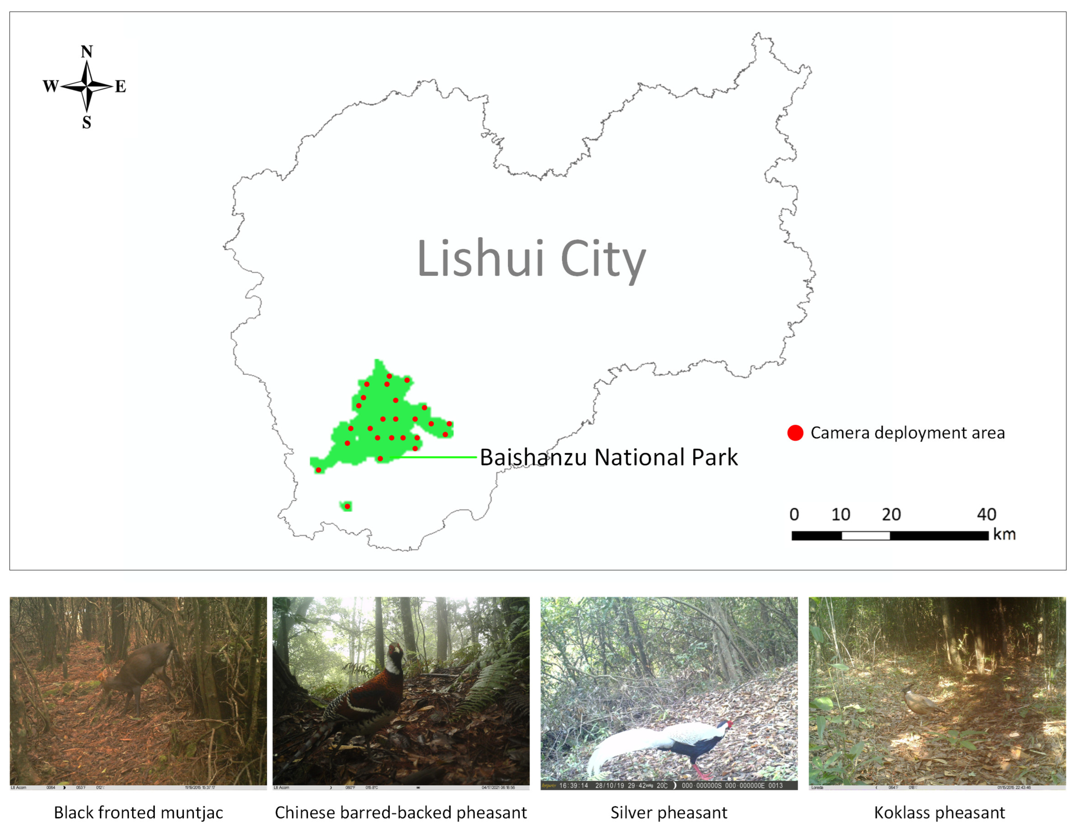 Sensors 25 07331 g001 Sensors 25 07331 g001