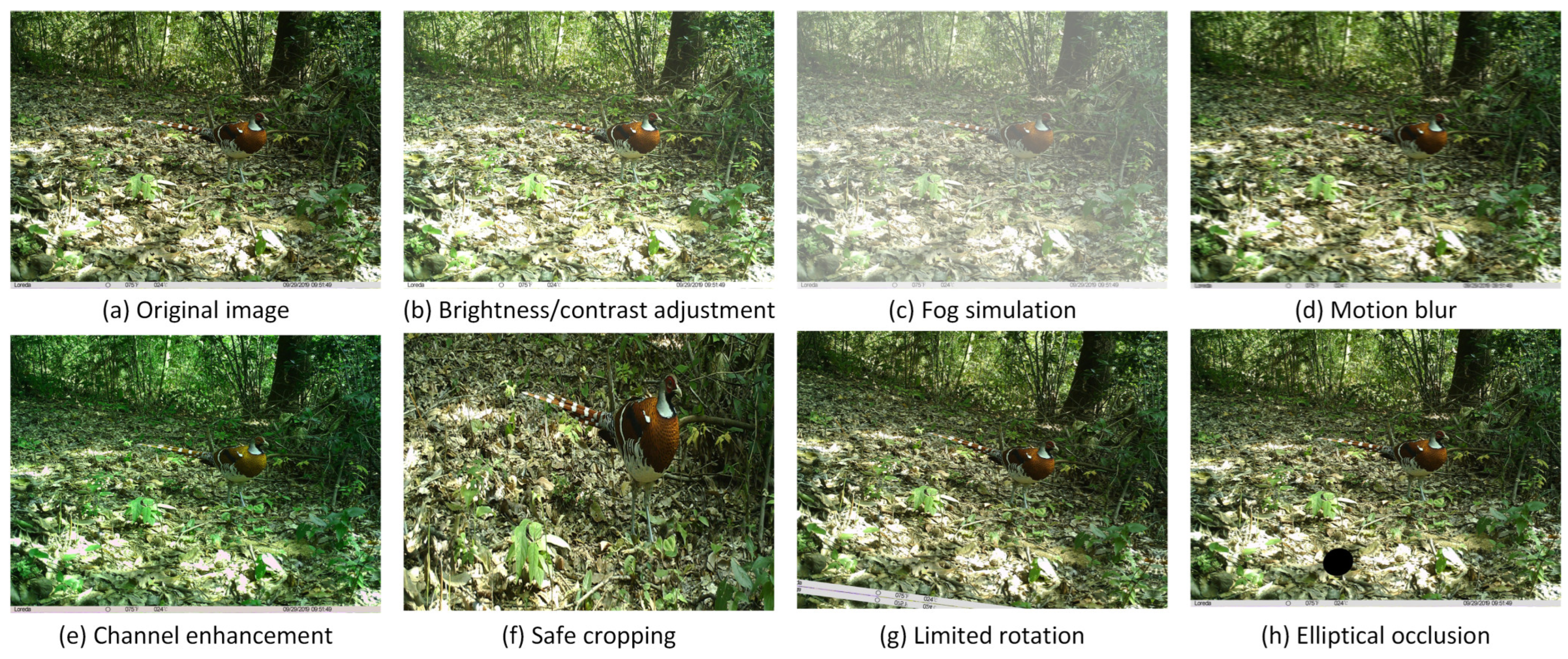 Sensors 25 07331 g002 Sensors 25 07331 g002
