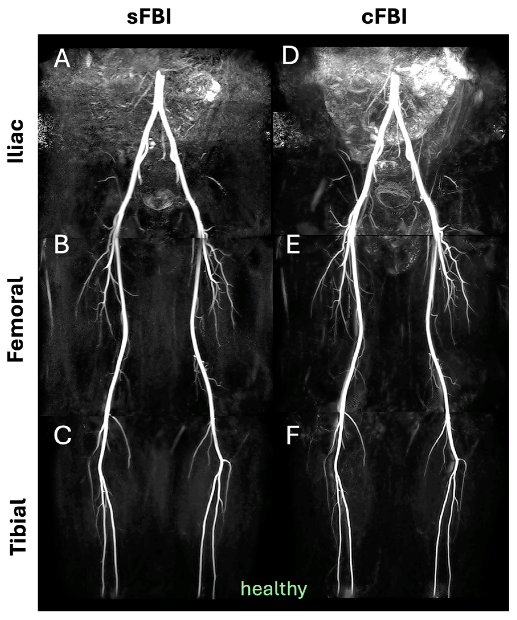 Sensors 25 07429 g003
