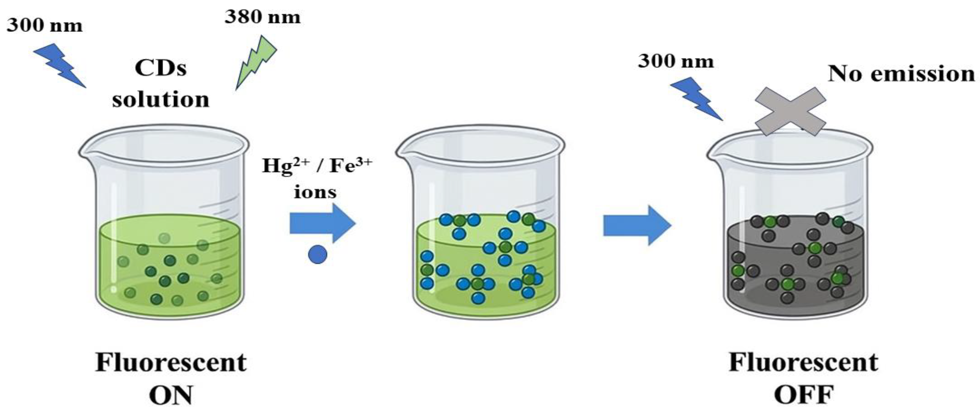 Sensors 25 07452 sch002 Sensors 25 07452 sch002
