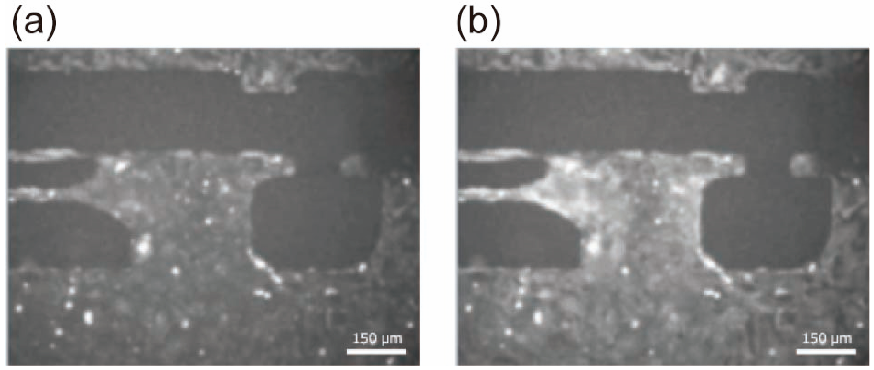 Sensors 25 07478 g005