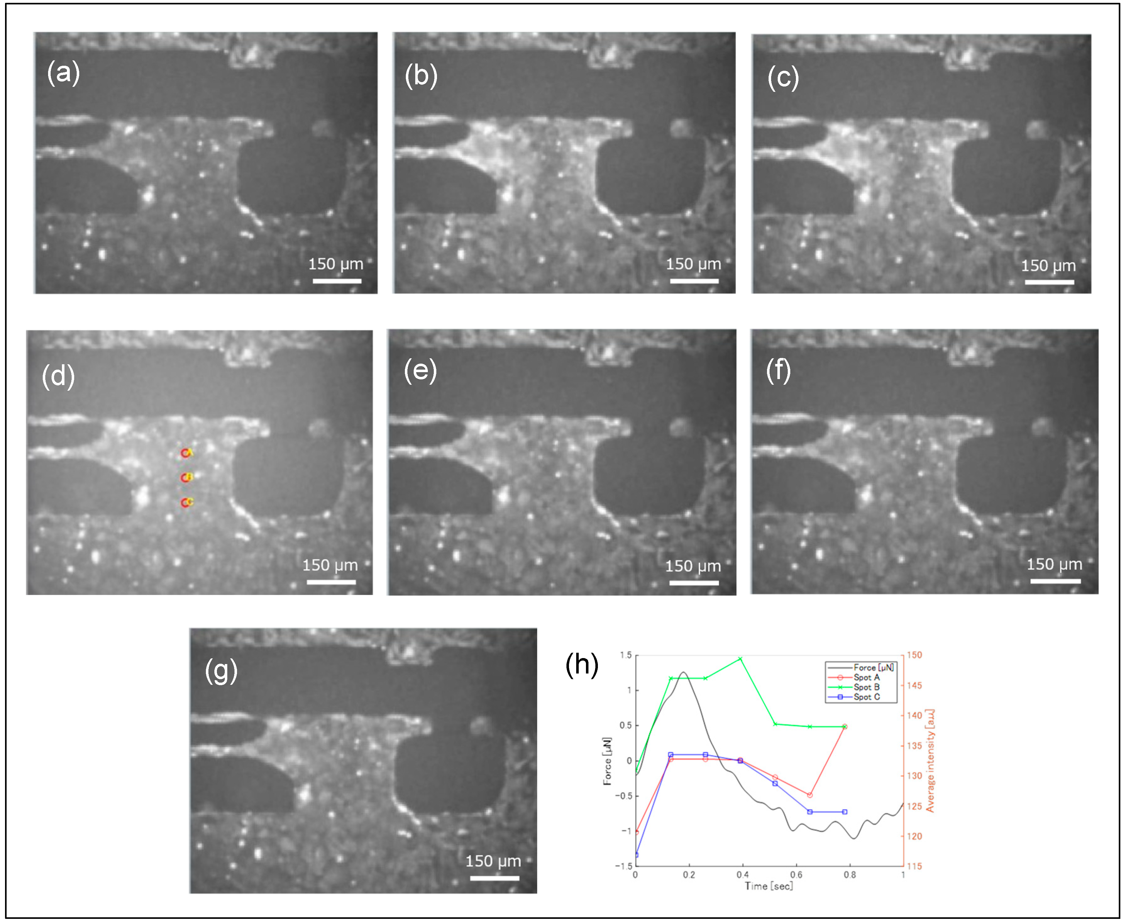 Sensors 25 07478 g007