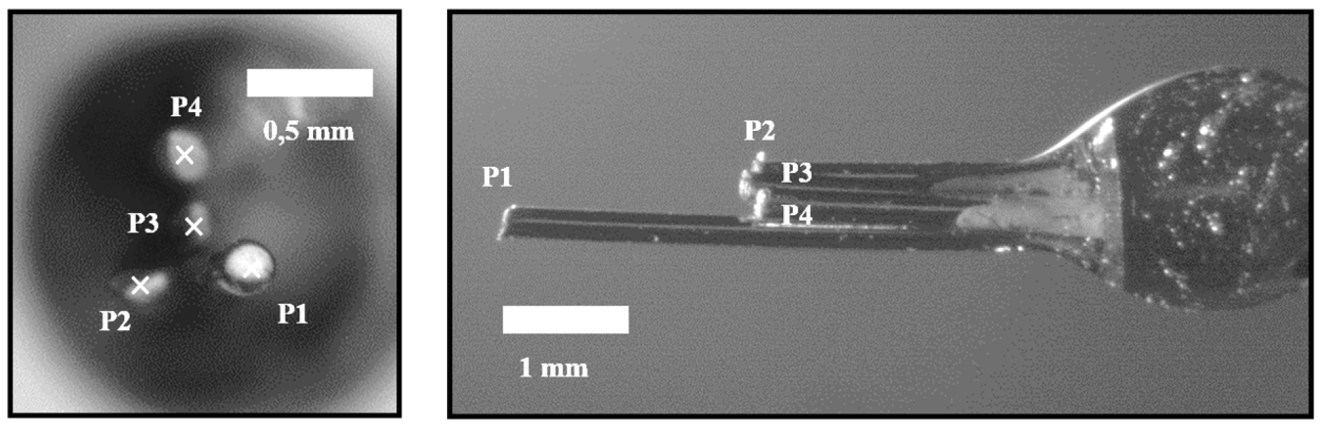 Sensors 25 07490 g002 Sensors 25 07490 g002