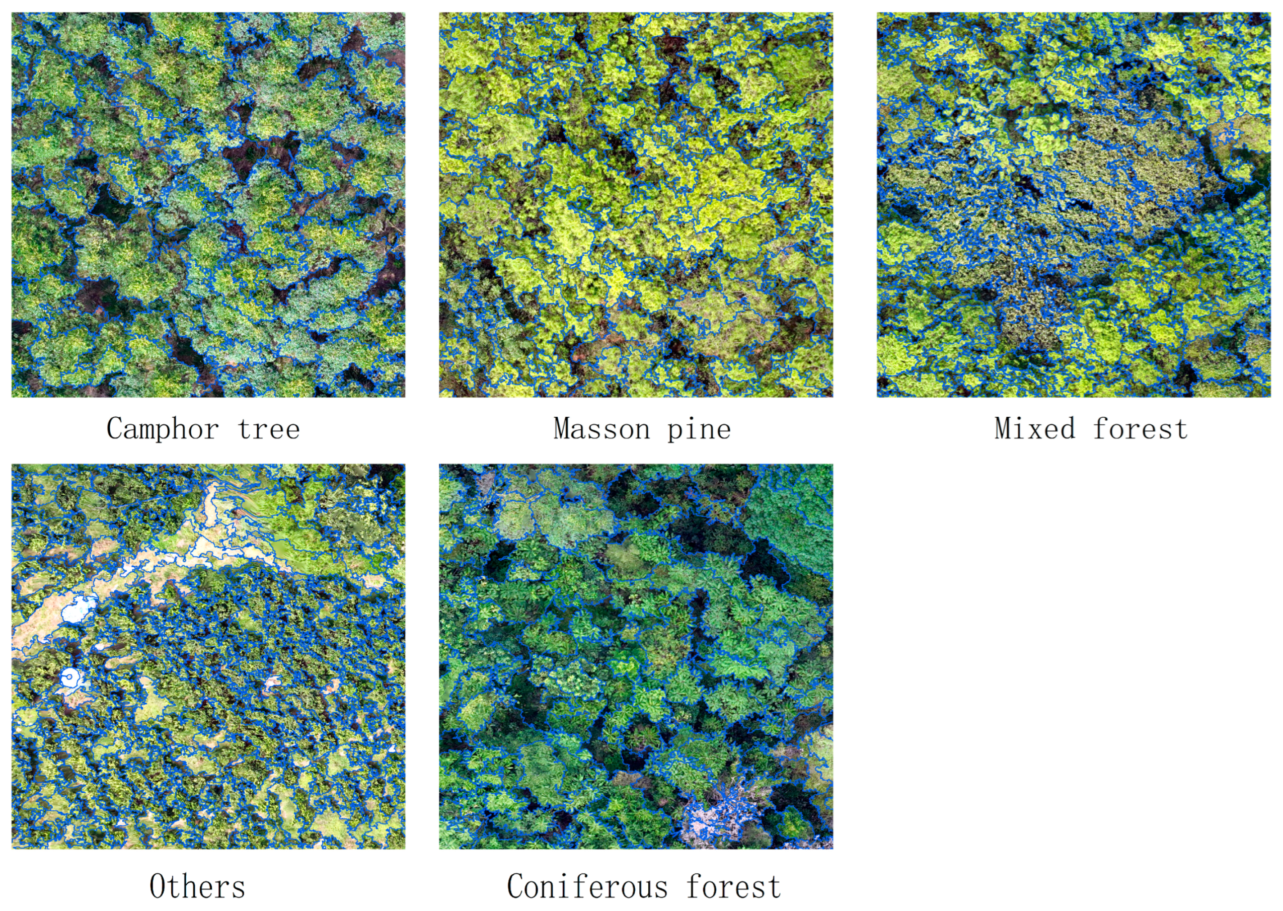 Sensors 25 07501 g007 Sensors 25 07501 g007