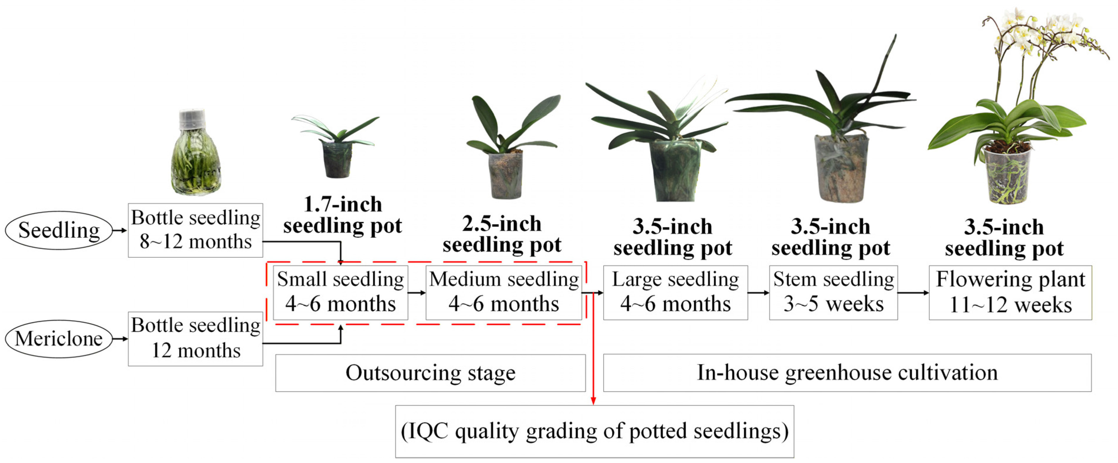 Sensors 25 07502 g001