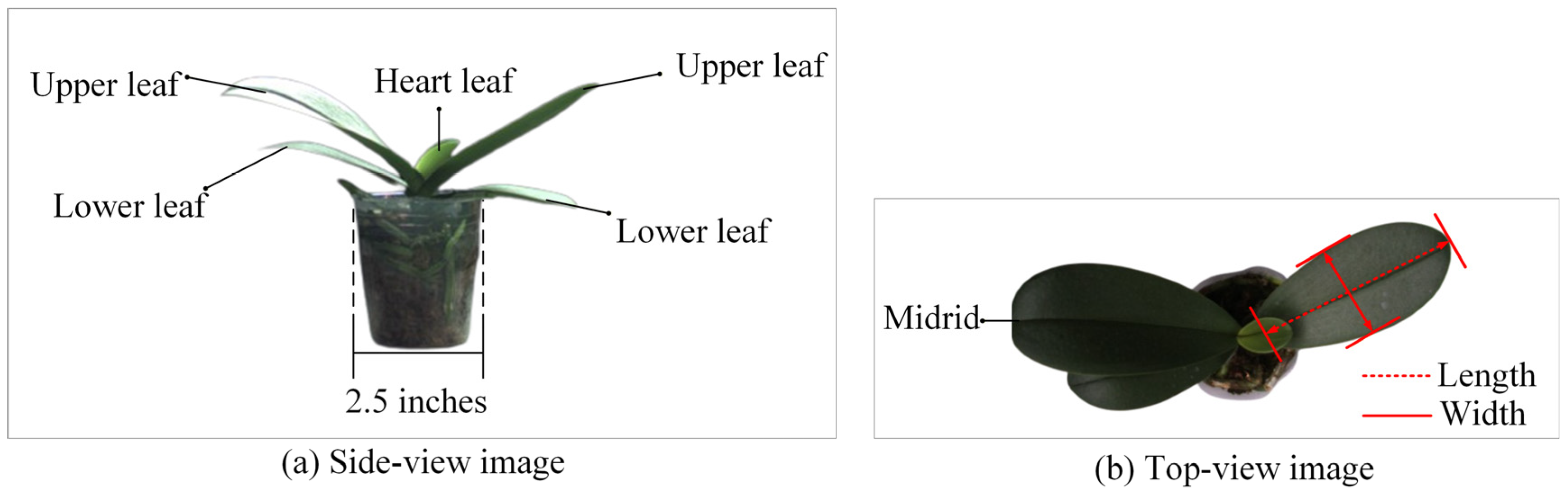 Sensors 25 07502 g002