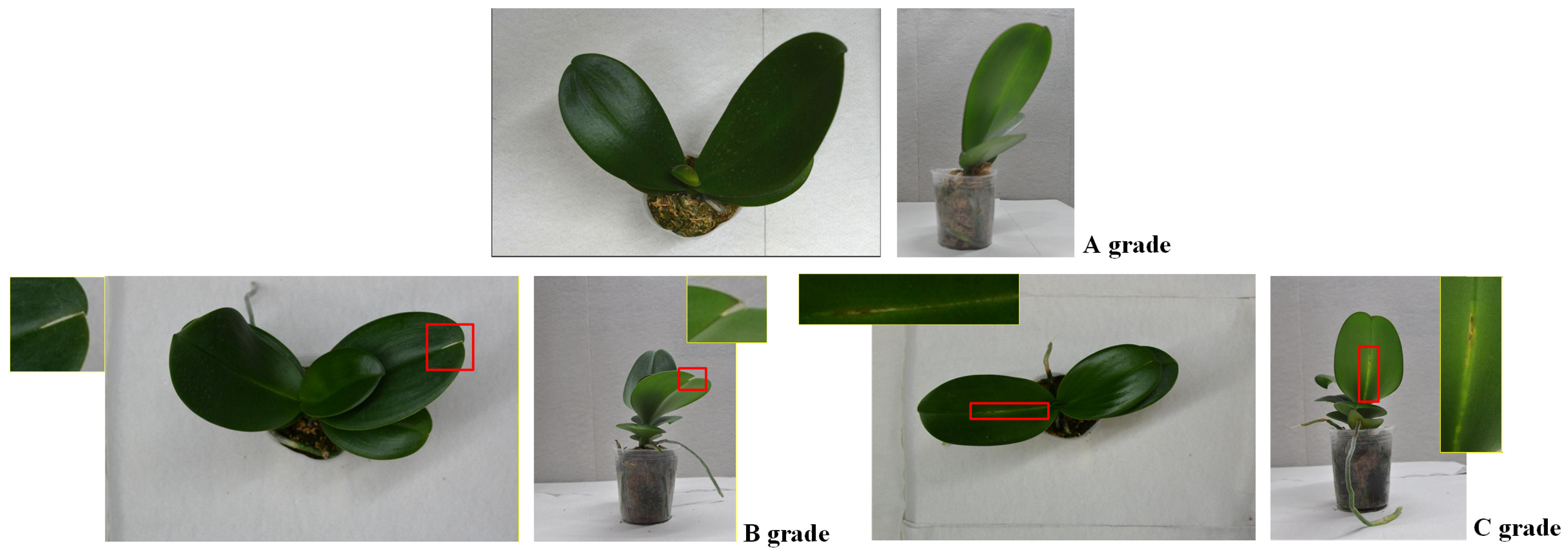 Sensors 25 07502 g004