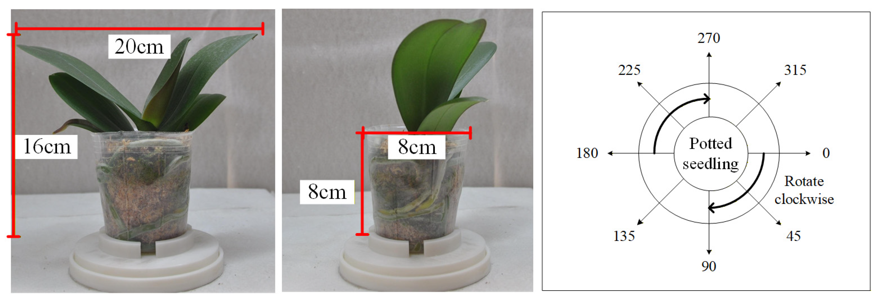 Sensors 25 07502 g007
