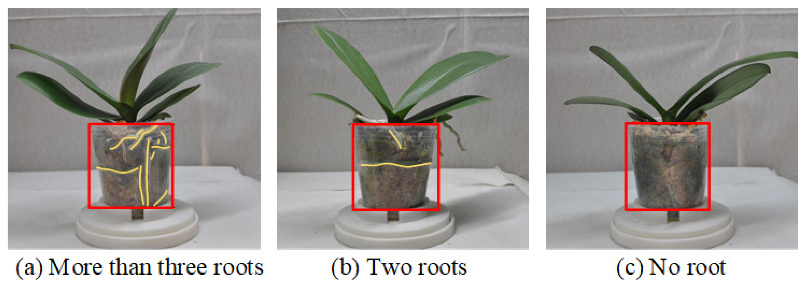 Sensors 25 07502 g012