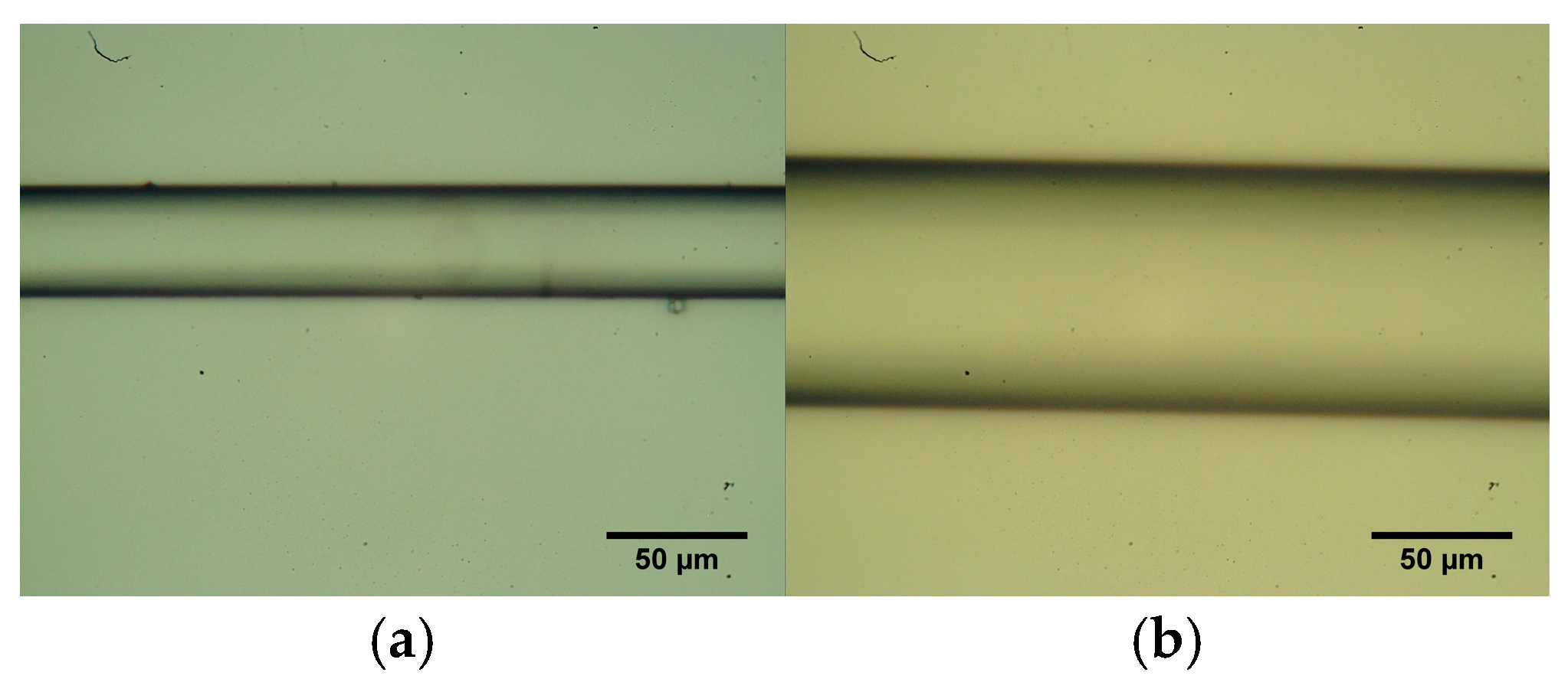 Sensors 25 07520 g002 Sensors 25 07520 g002