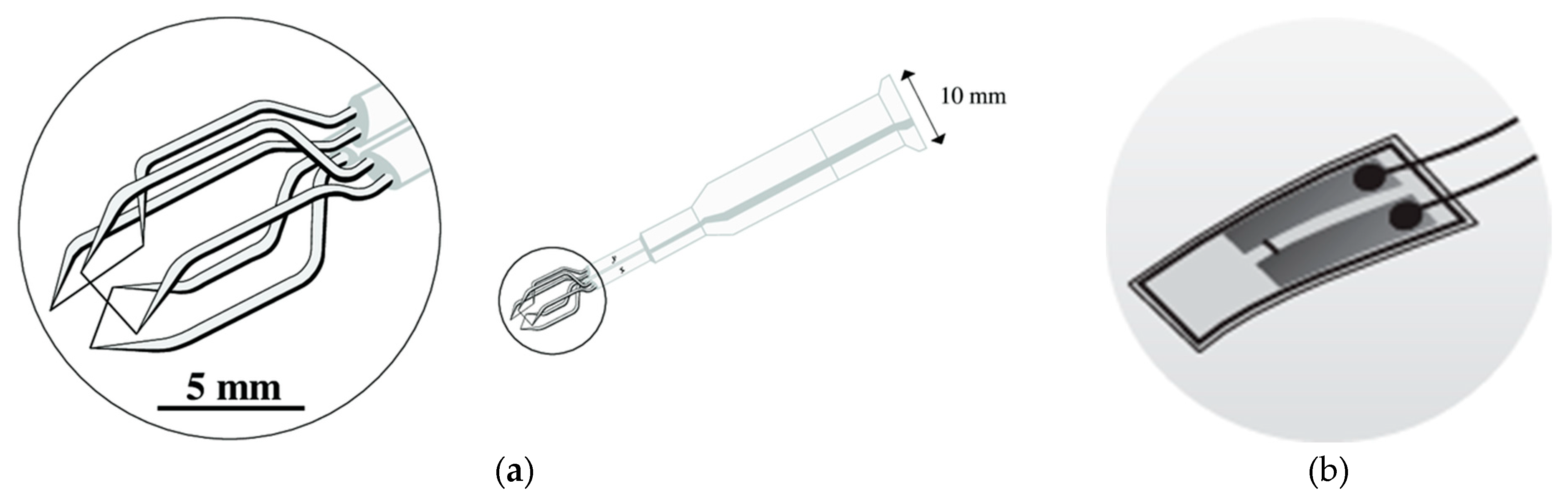 Sensors 25 07526 g005