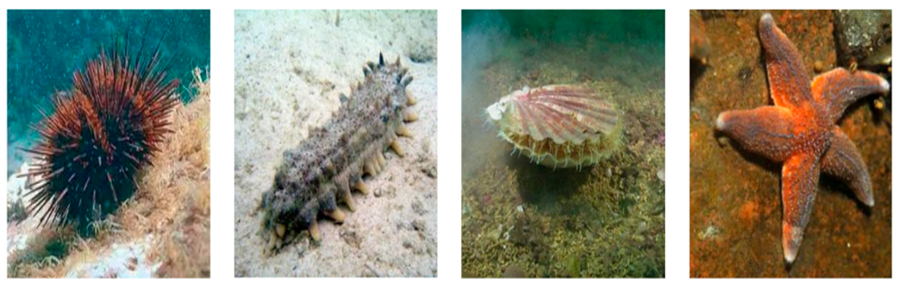 Sensors 25 07546 g004