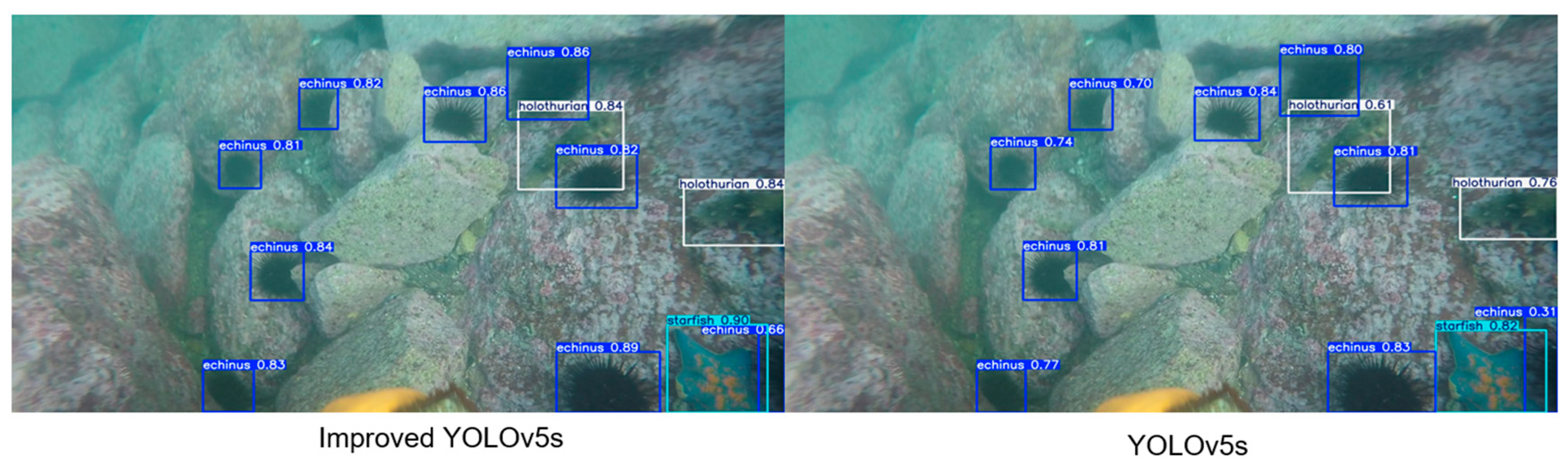 Sensors 25 07546 g005