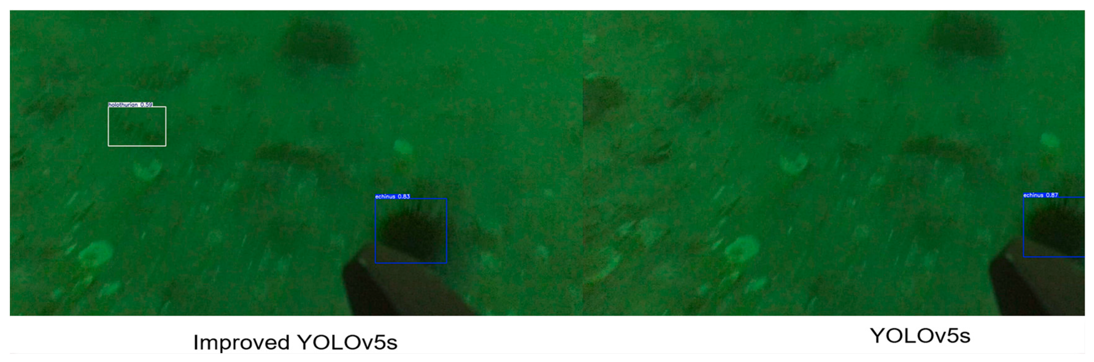 Sensors 25 07546 g006