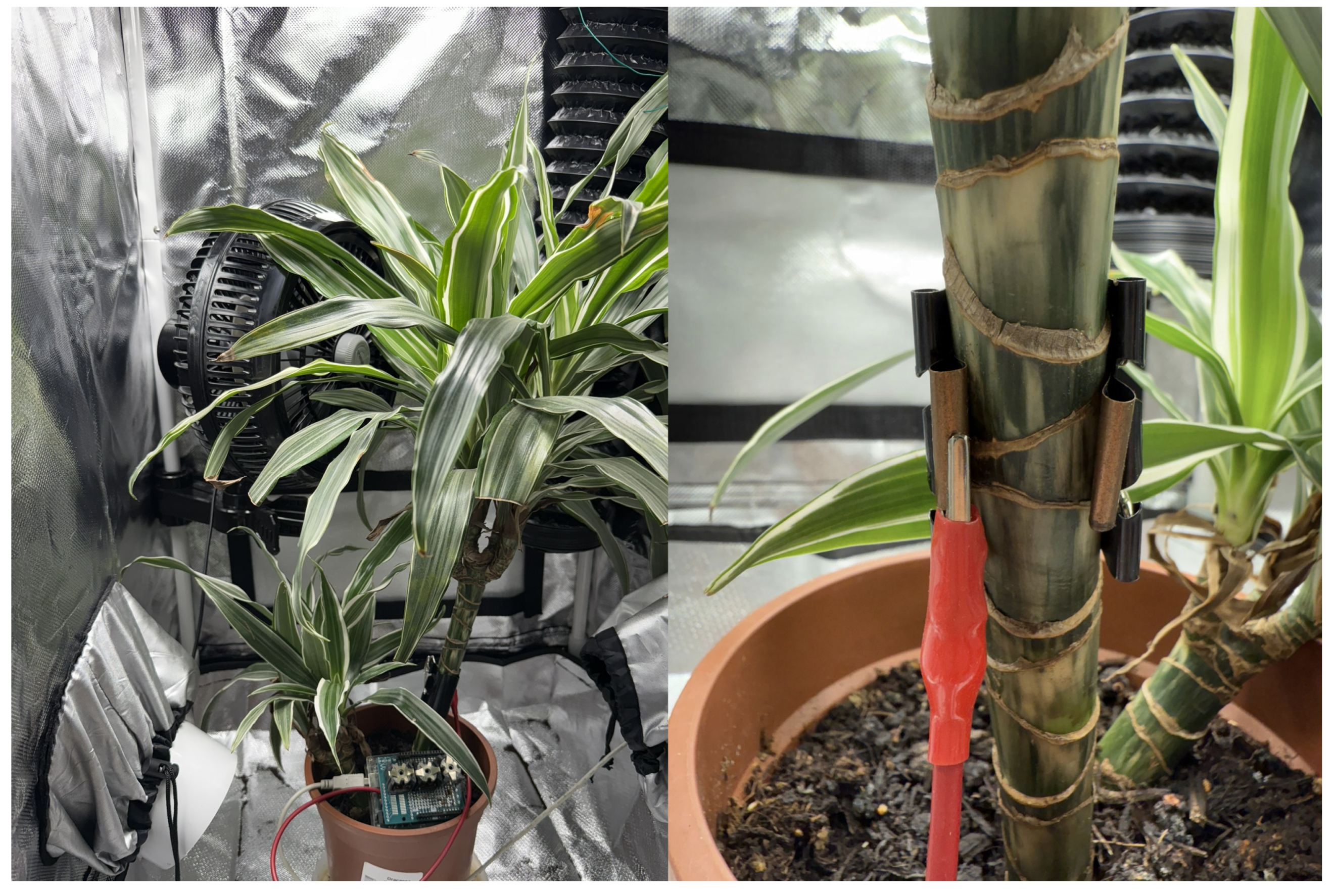 Sensors 25 07549 g005