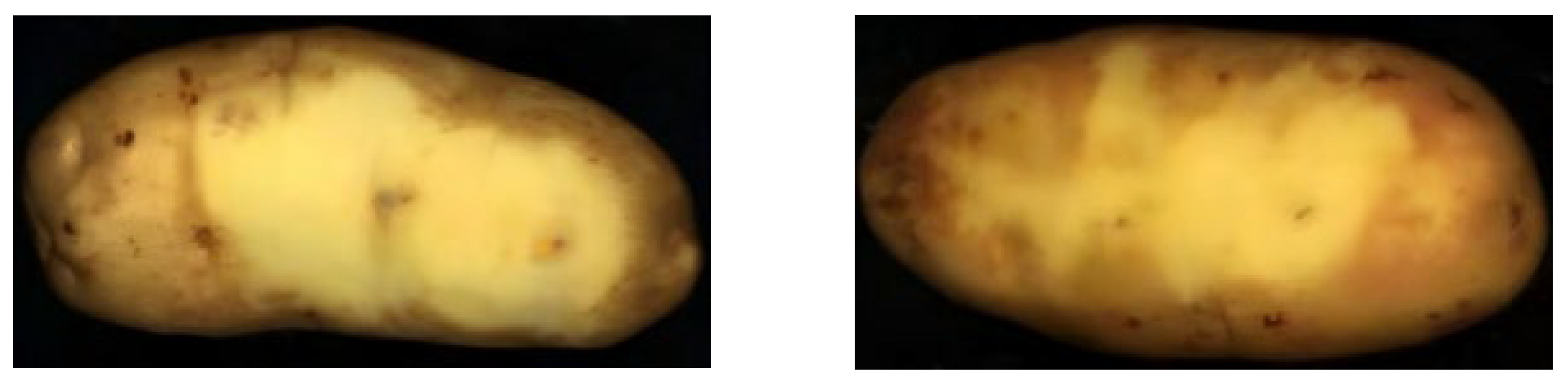 Sensors 25 07571 g010