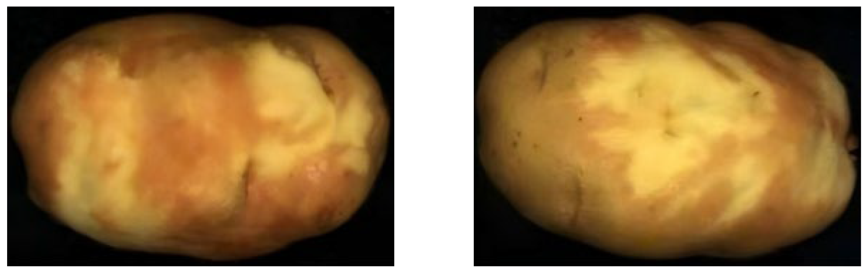 Sensors 25 07571 g011