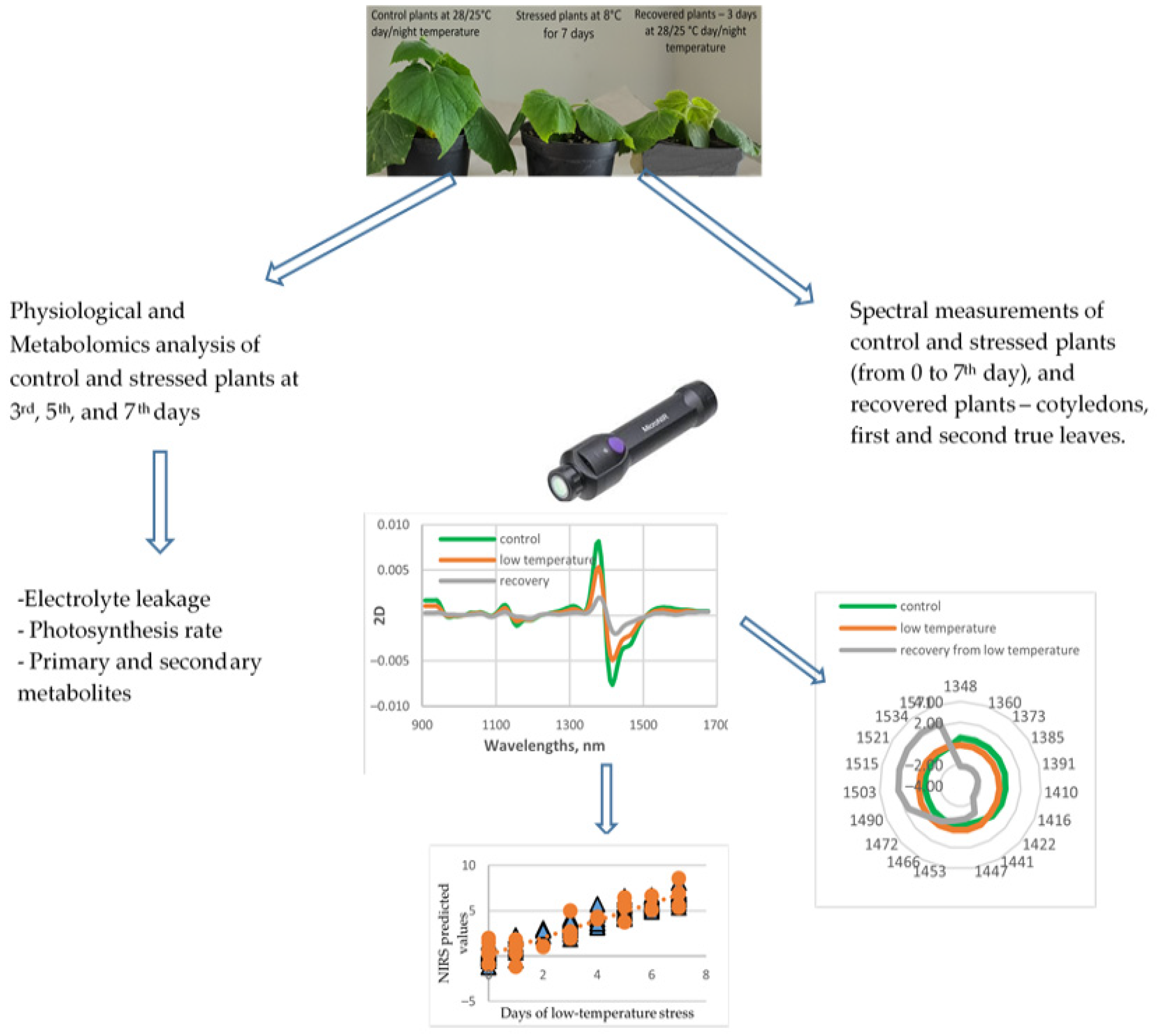 Sensors 25 07602 g001 Sensors 25 07602 g001
